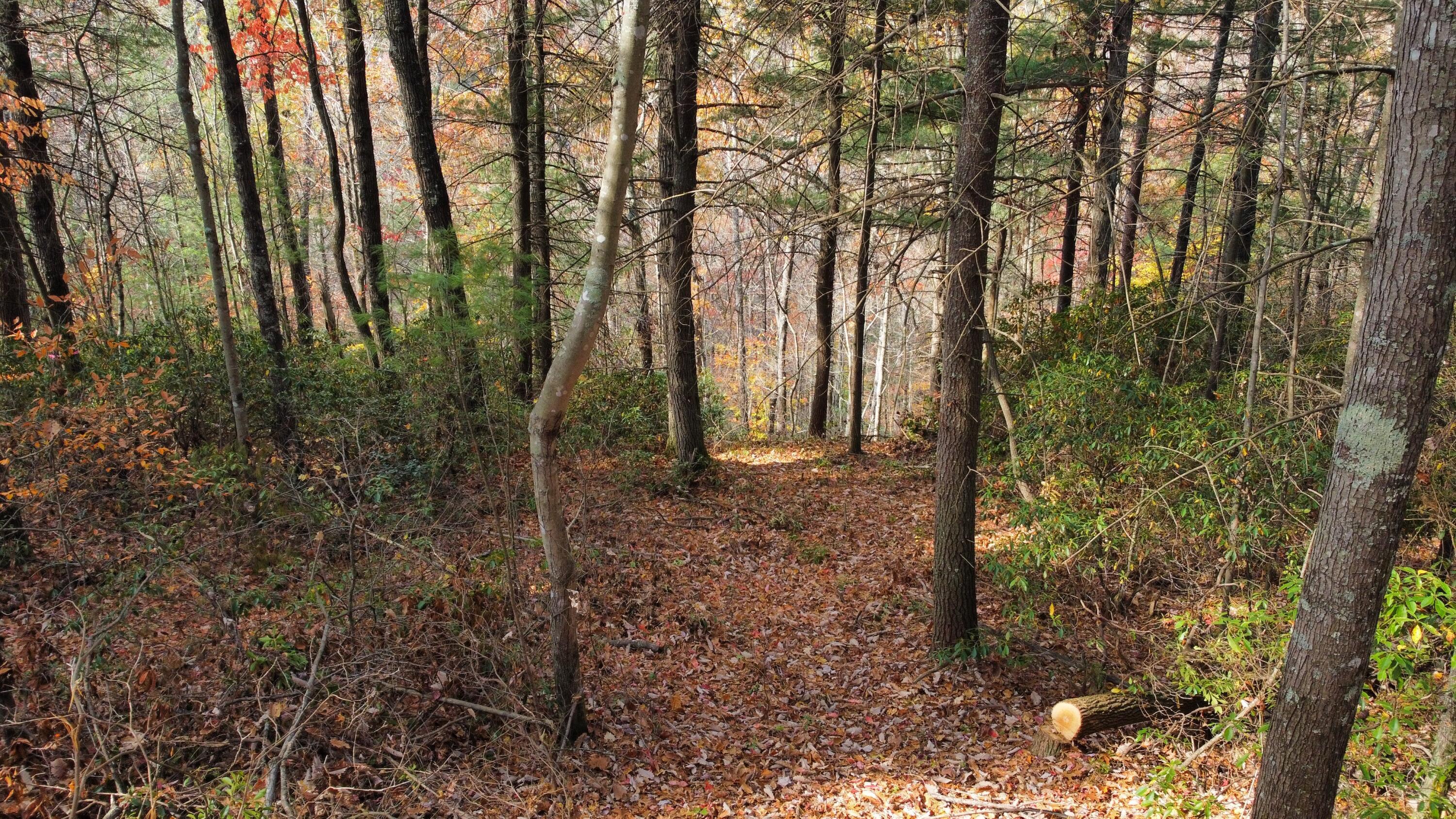 Image 2: dji_fly_20241031_130502_539_173039475400