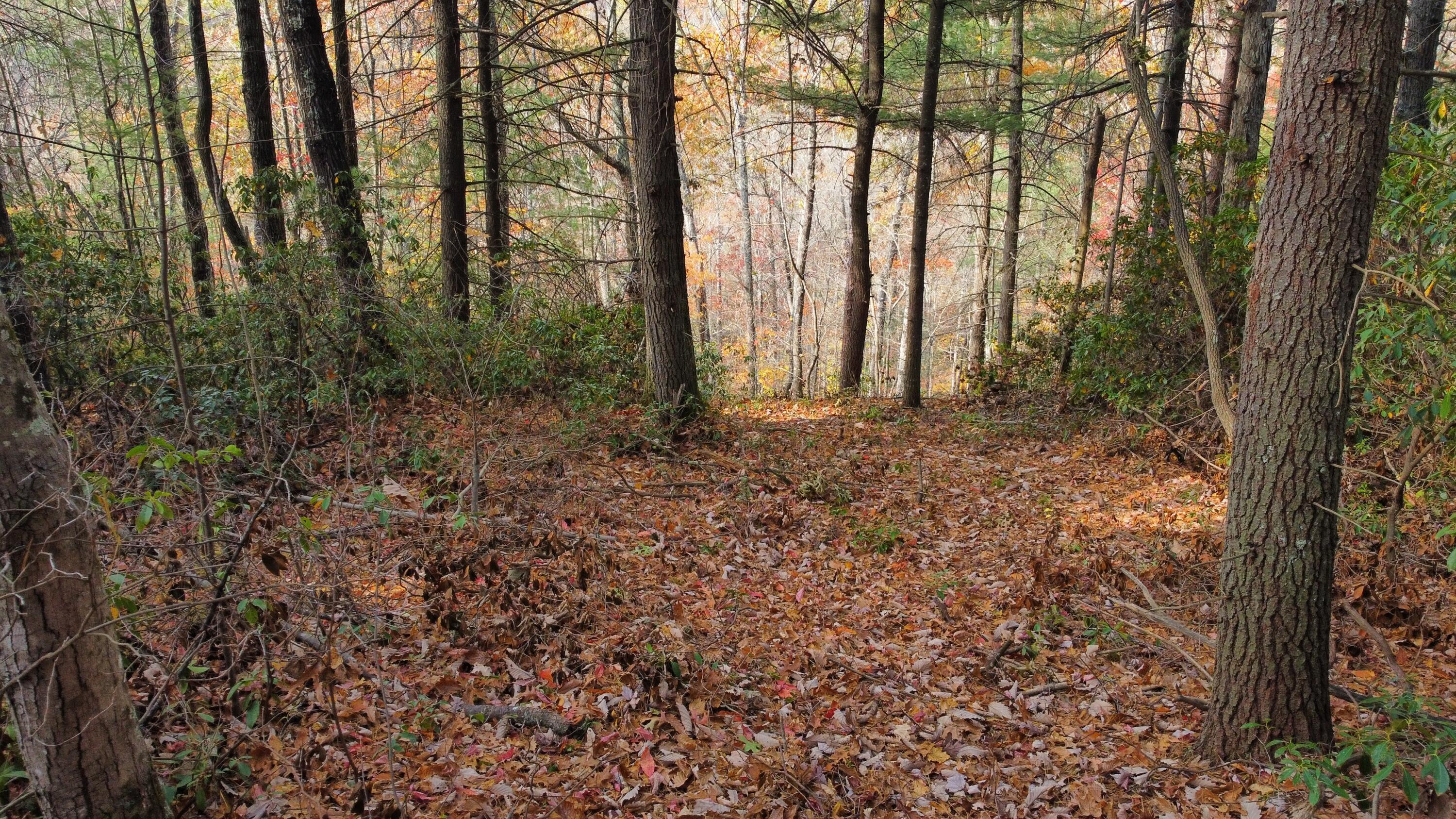 Image 3: dji_fly_20241031_130512_540_173039475769