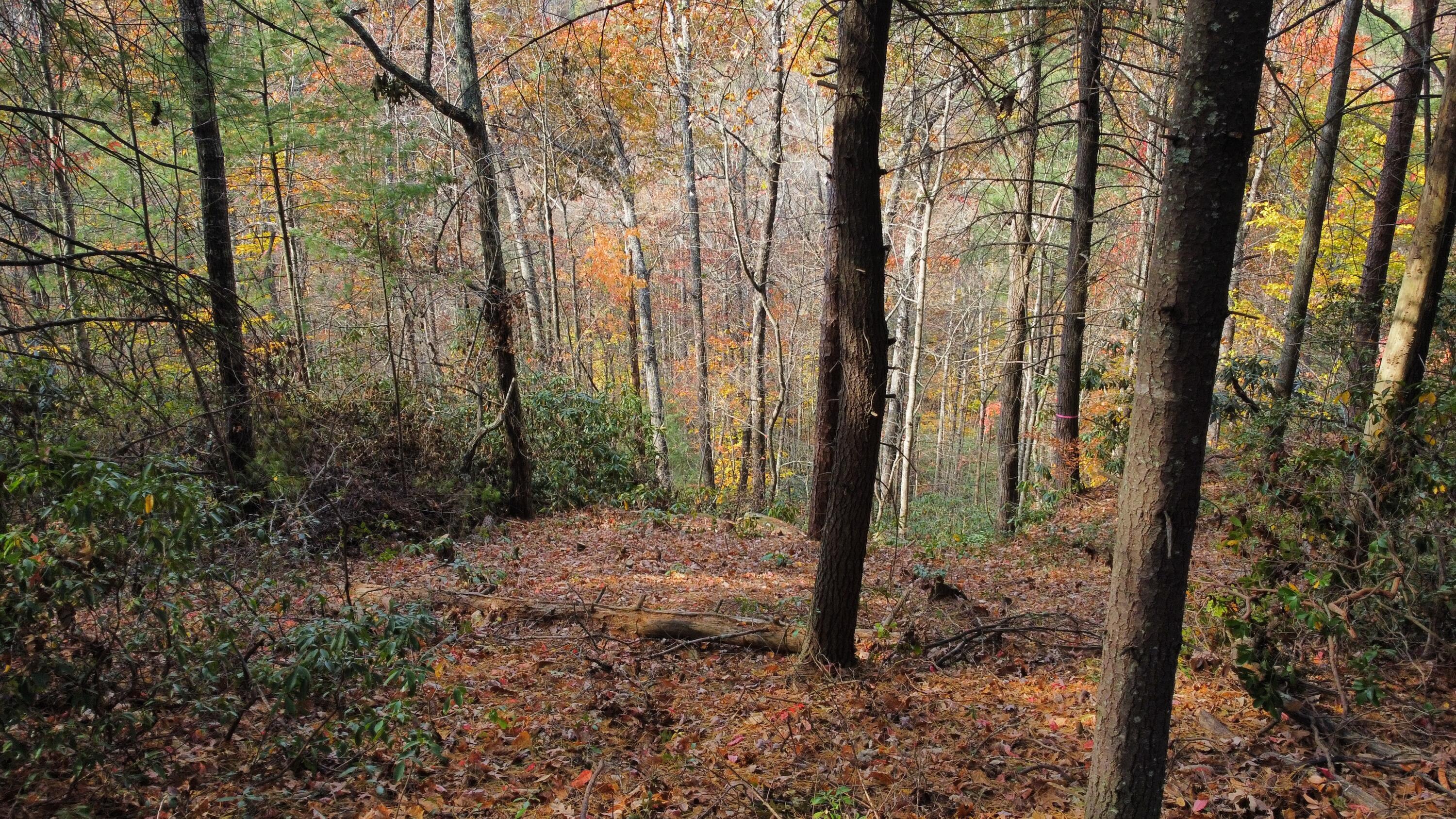 Image 4: dji_fly_20241031_130526_541_173039476155