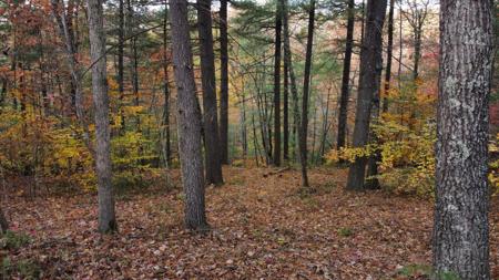 Lot #43 The Reserve At Cliffview