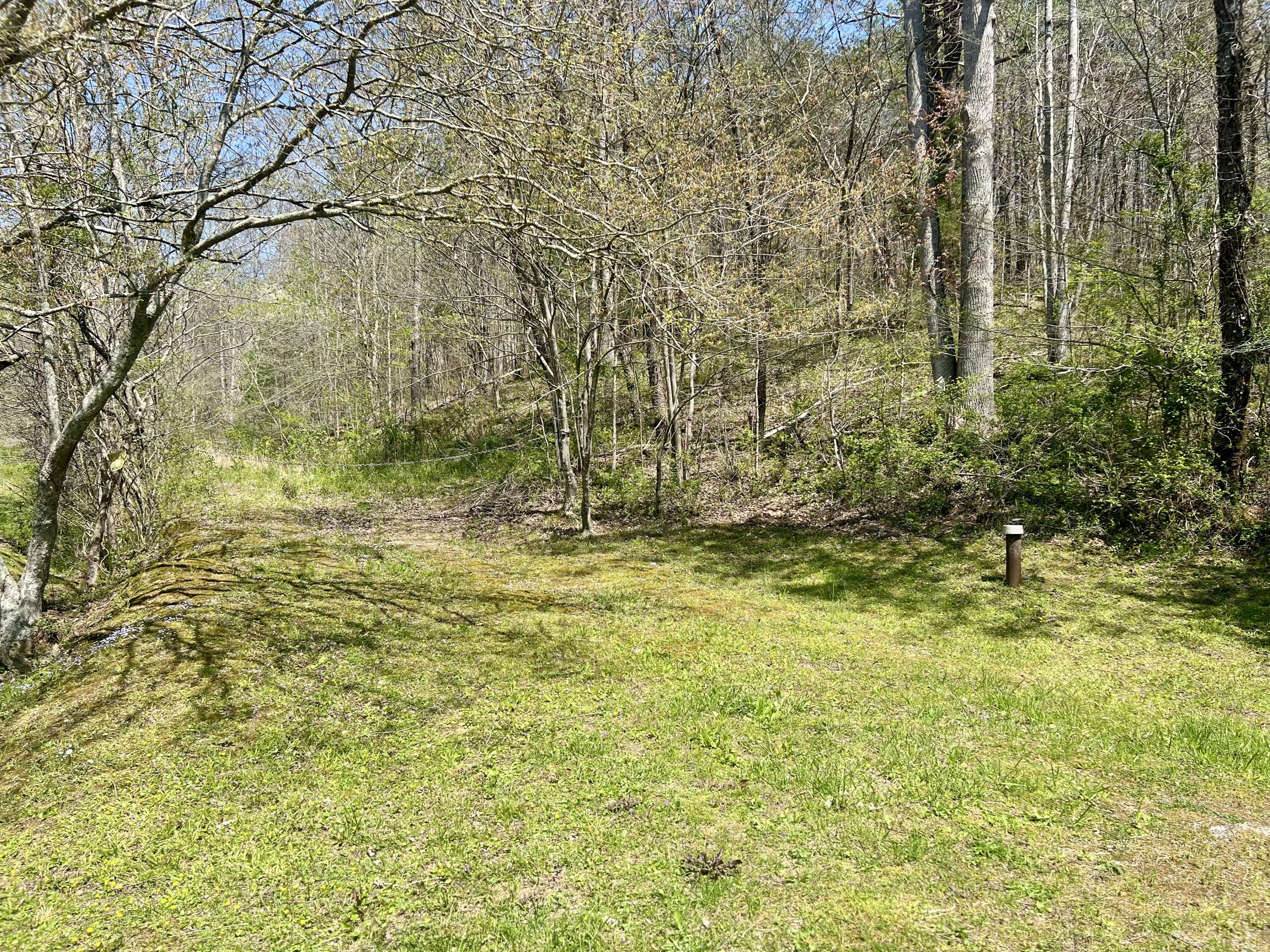Image 2: IMG_1375