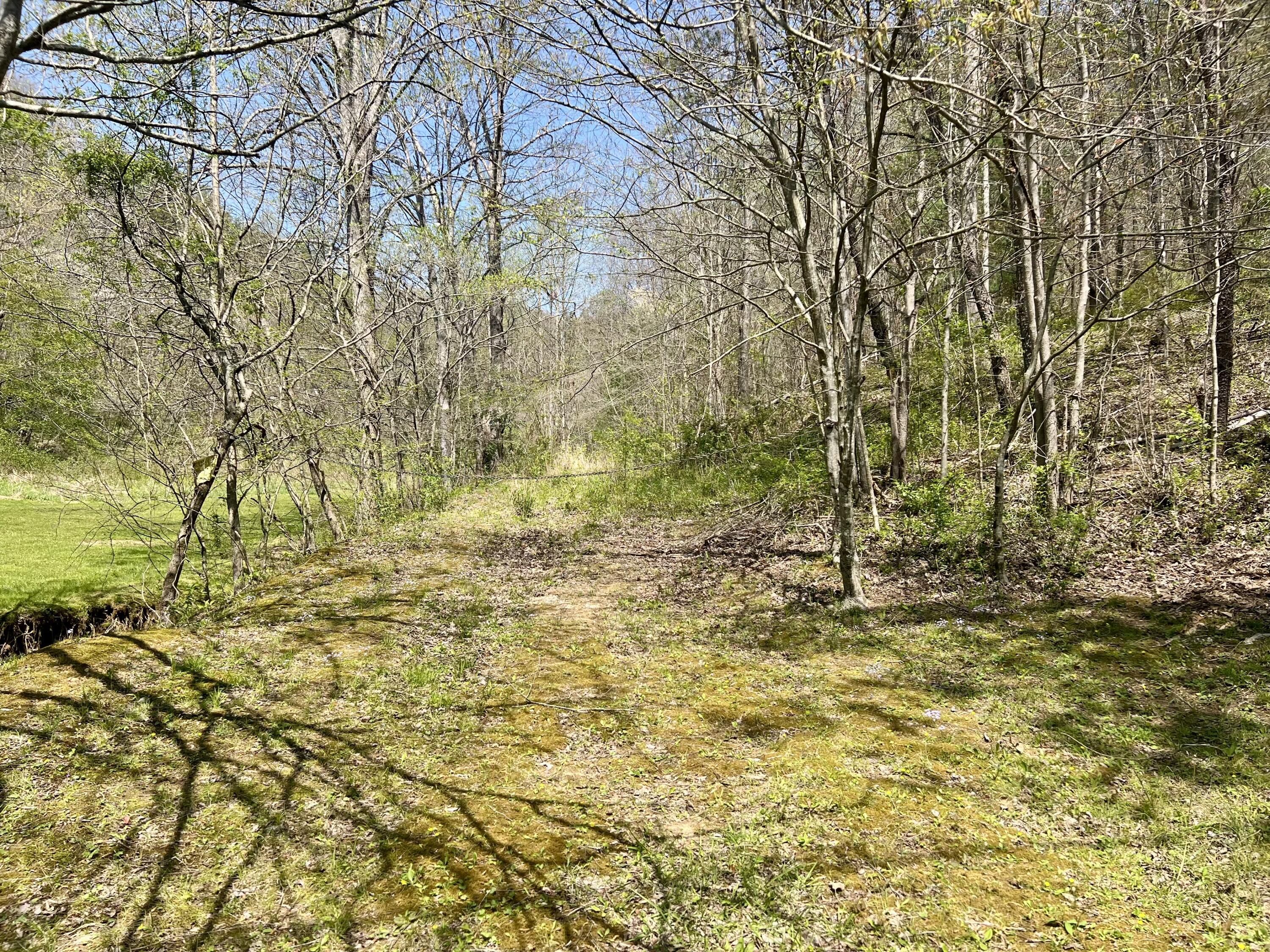 Image 3: IMG_1374
