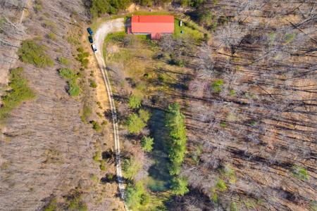 287 Boys in the Holler Trail