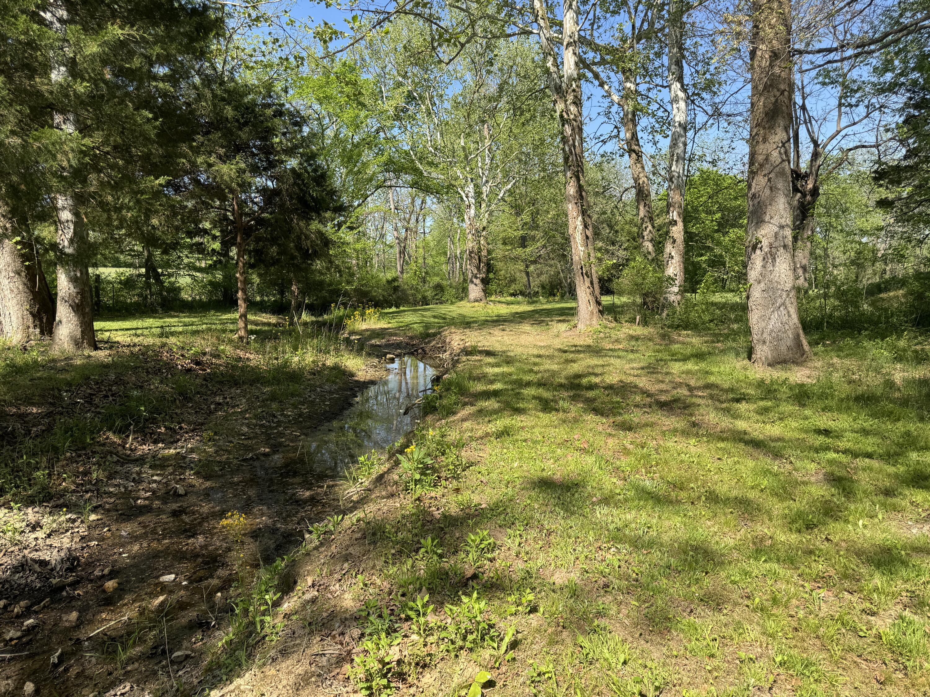 Image 2: IMG_4009