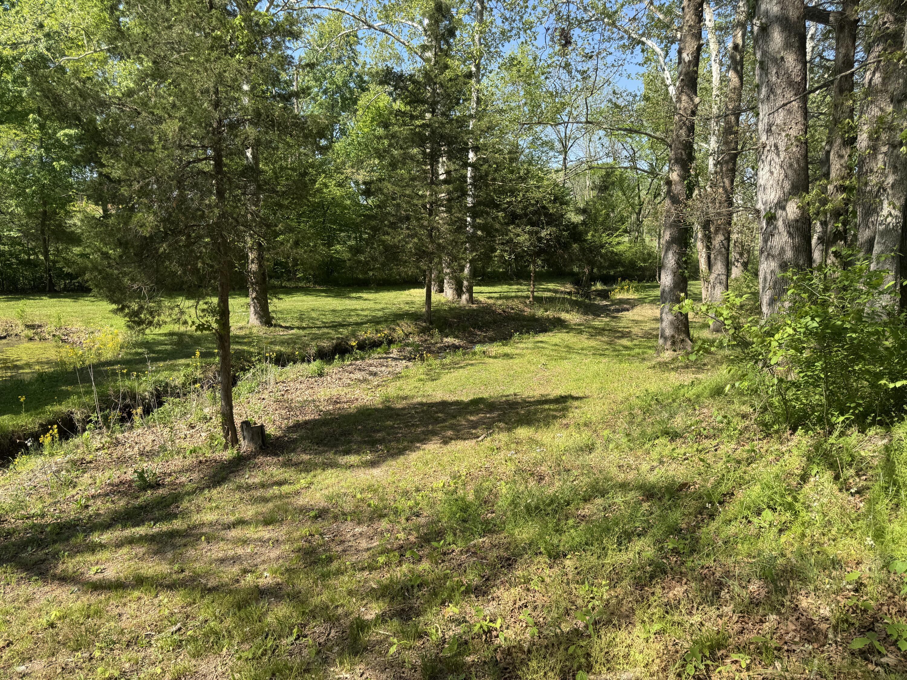 Image 3: IMG_4007
