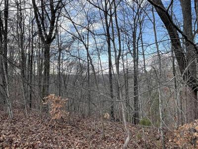 Lot 14 The Village at Laurelwood