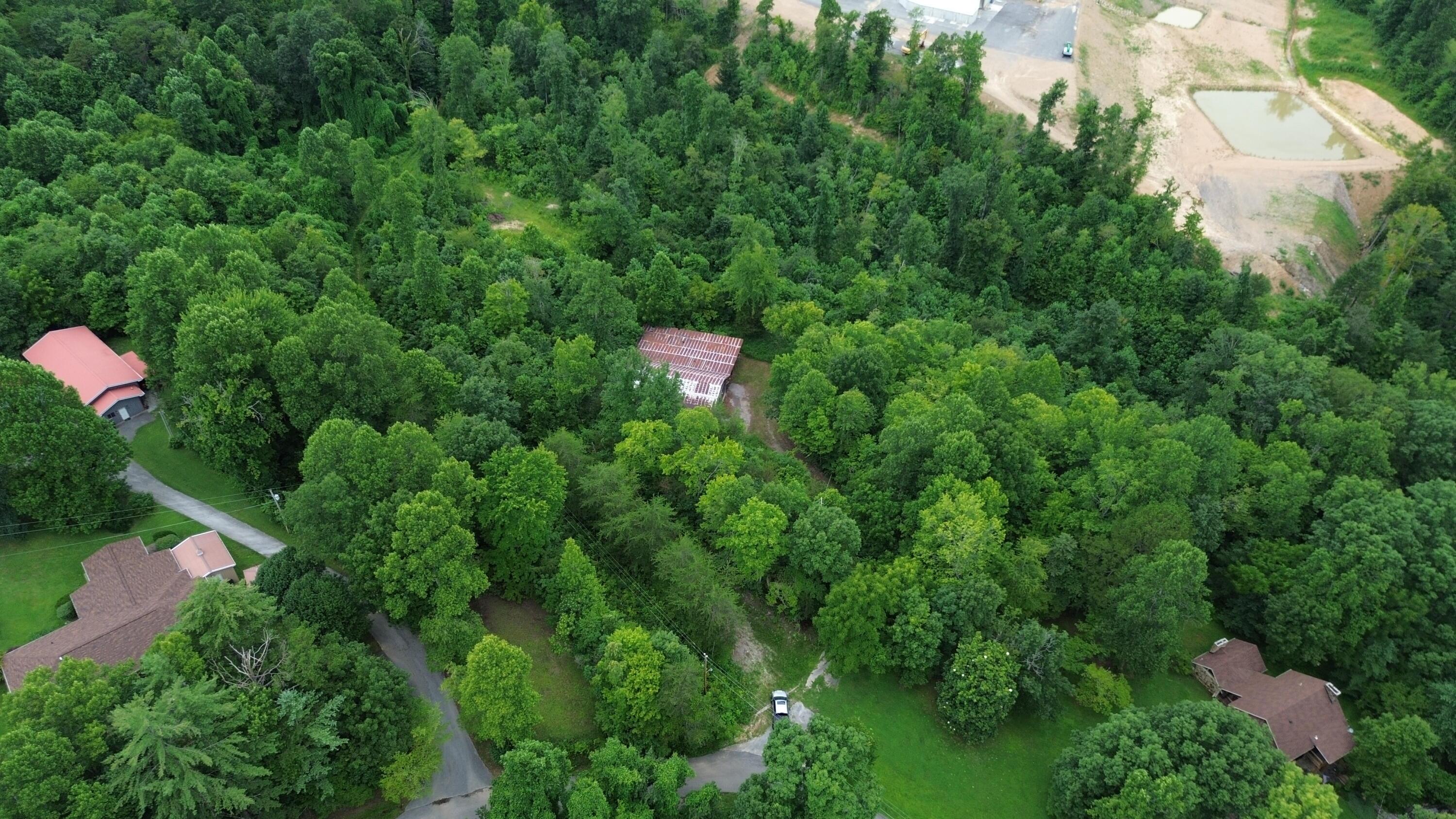 Image 3: DJI_0984