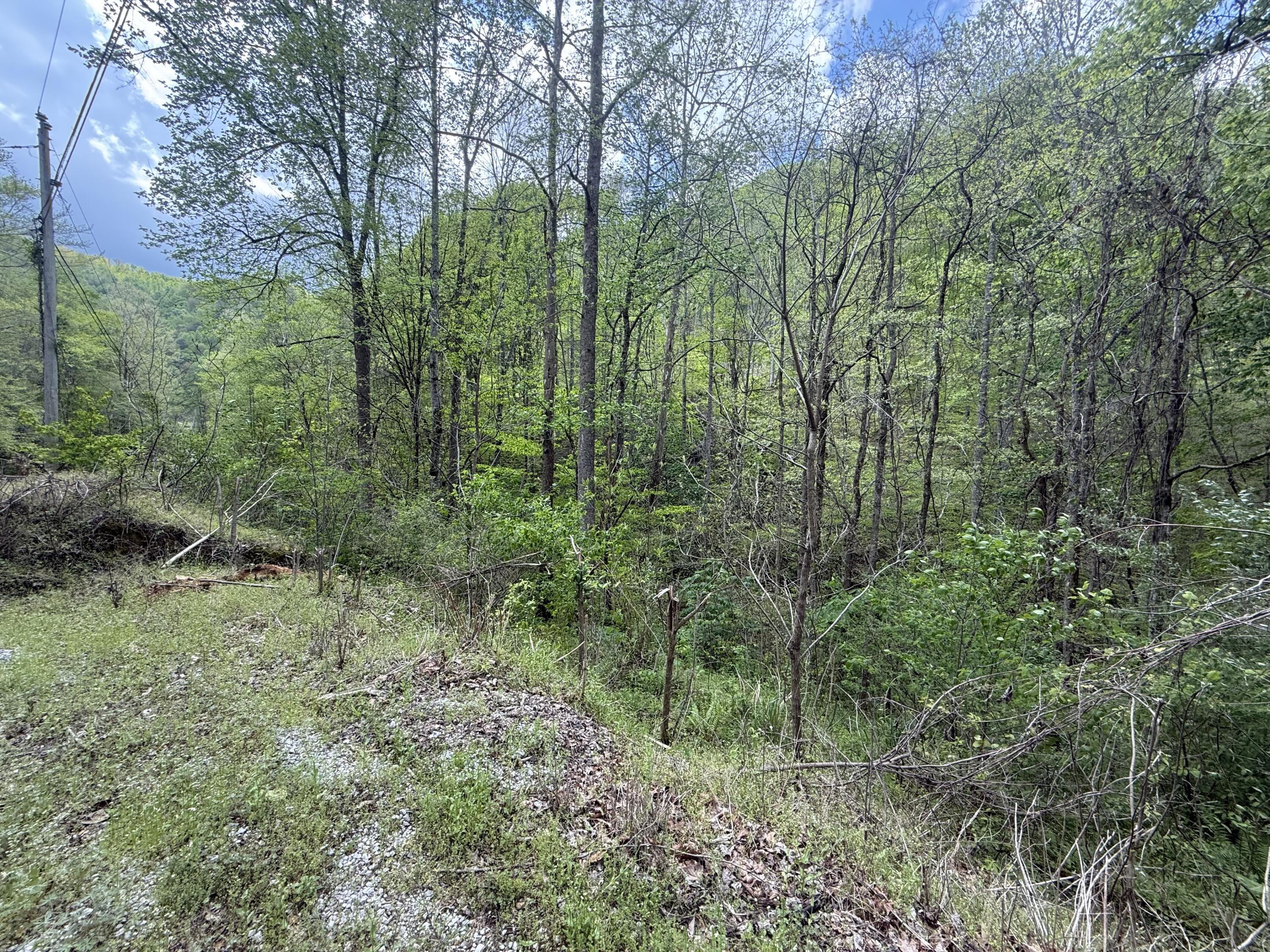 Image 4: IMG_2958