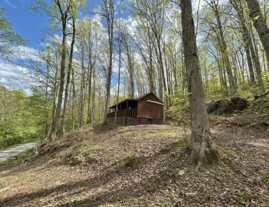 411 Alum Cave Road