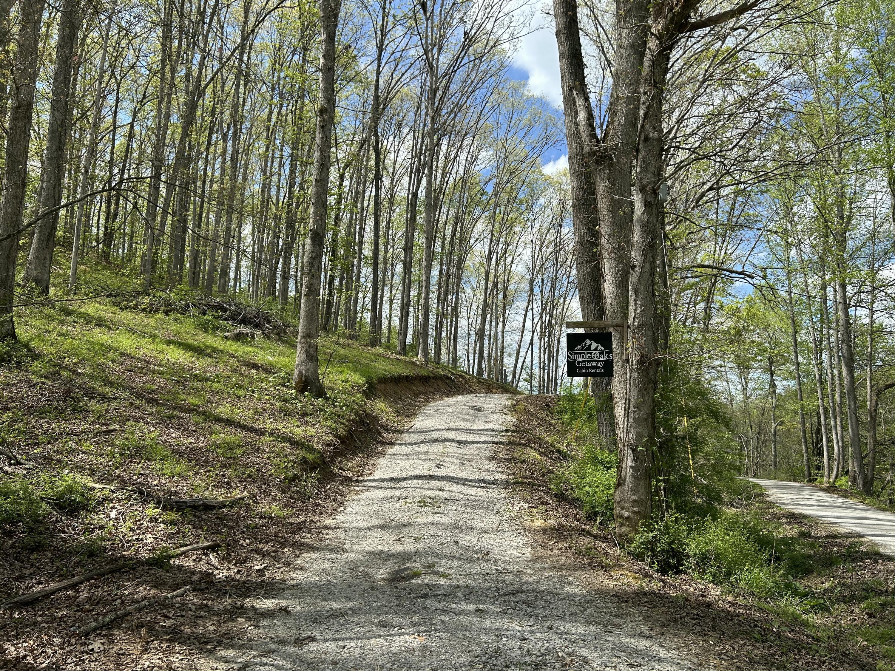Image 3: IMG_2277