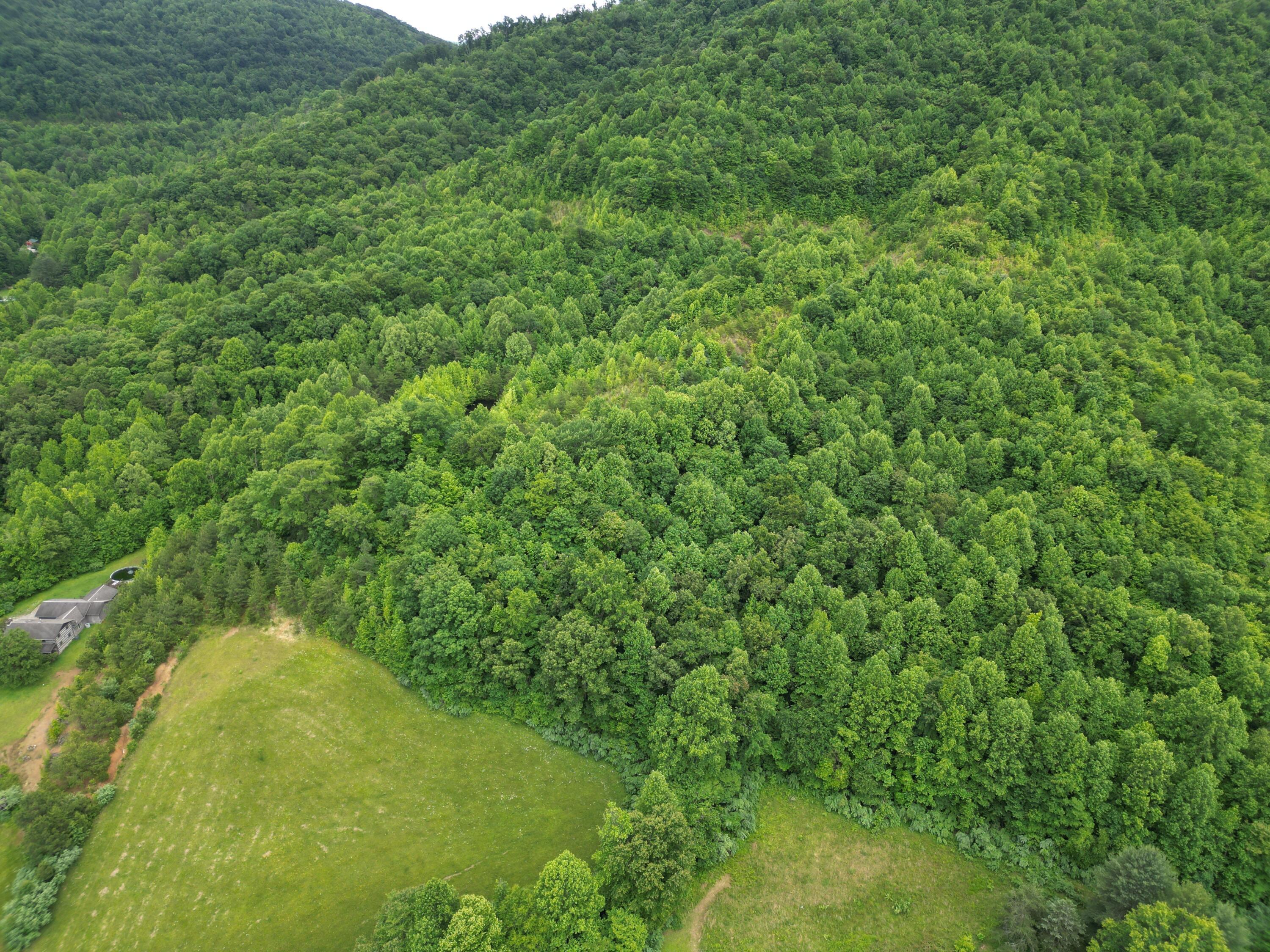 Image 1: DJI_0020