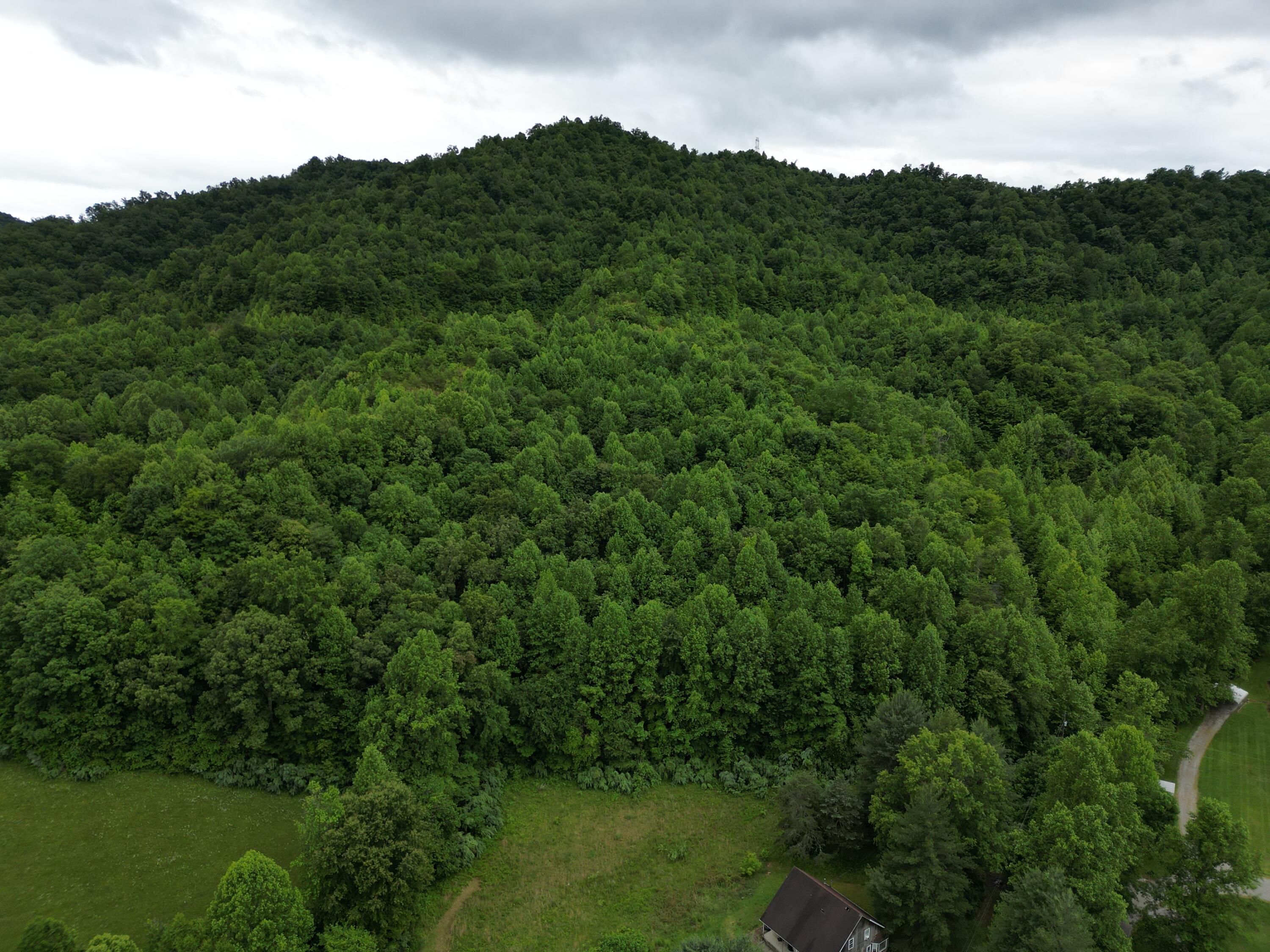 Image 2: DJI_0019
