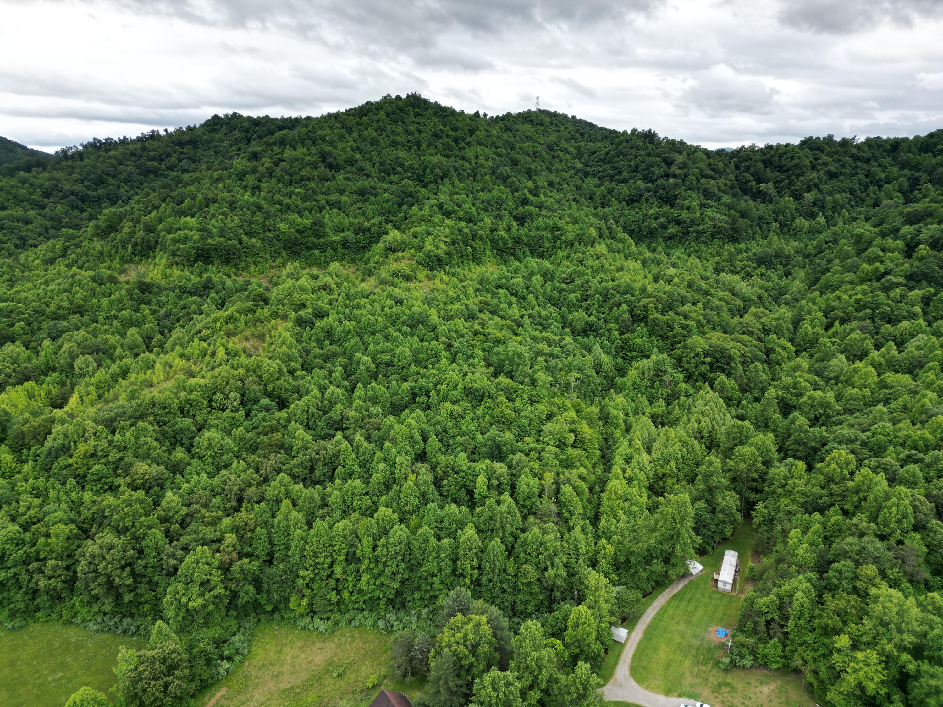 Image 4: DJI_0024