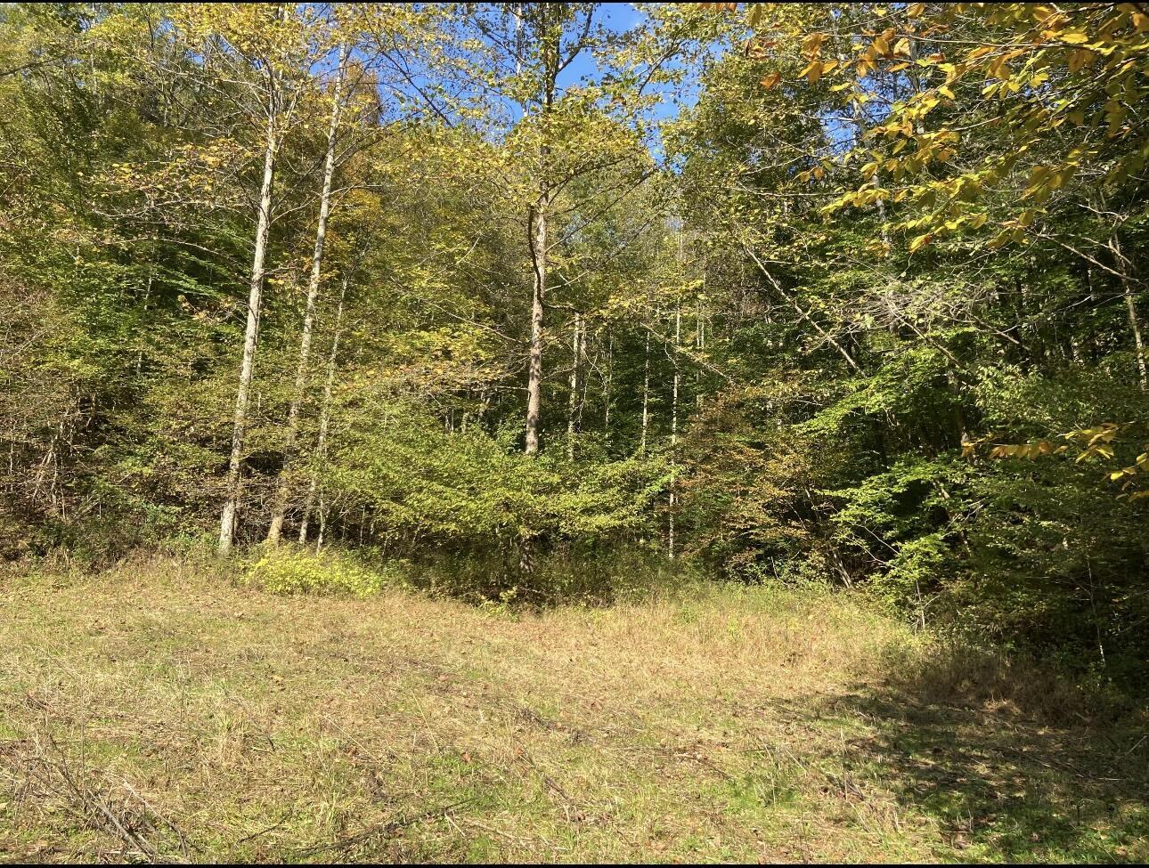 Image 3: IMG_8976