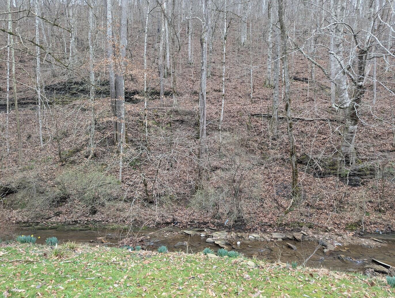 Image 3: PXL_20260305_183635927.MP