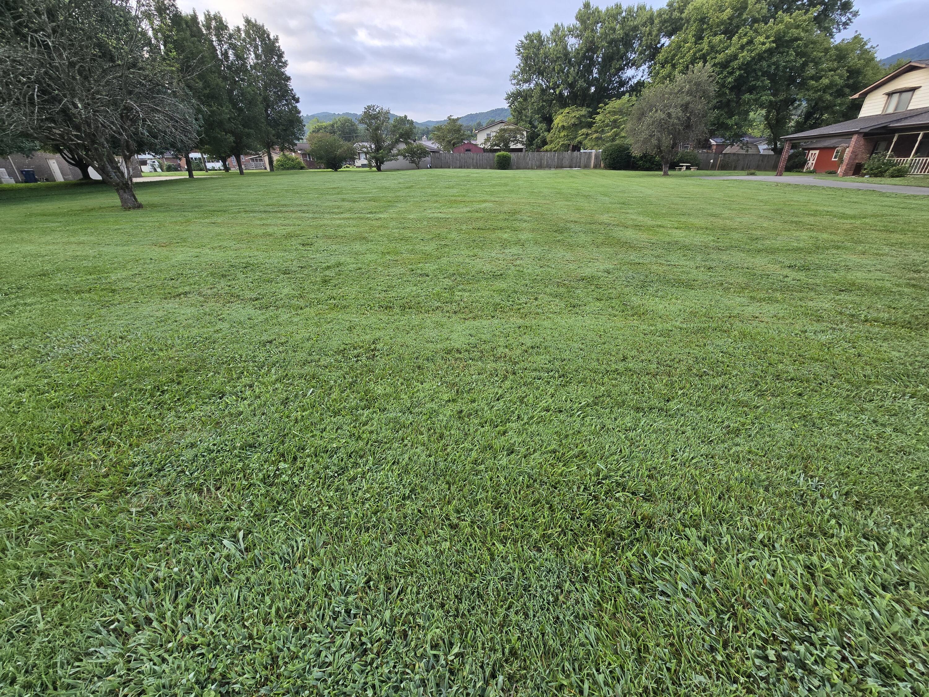 Image 4: 4