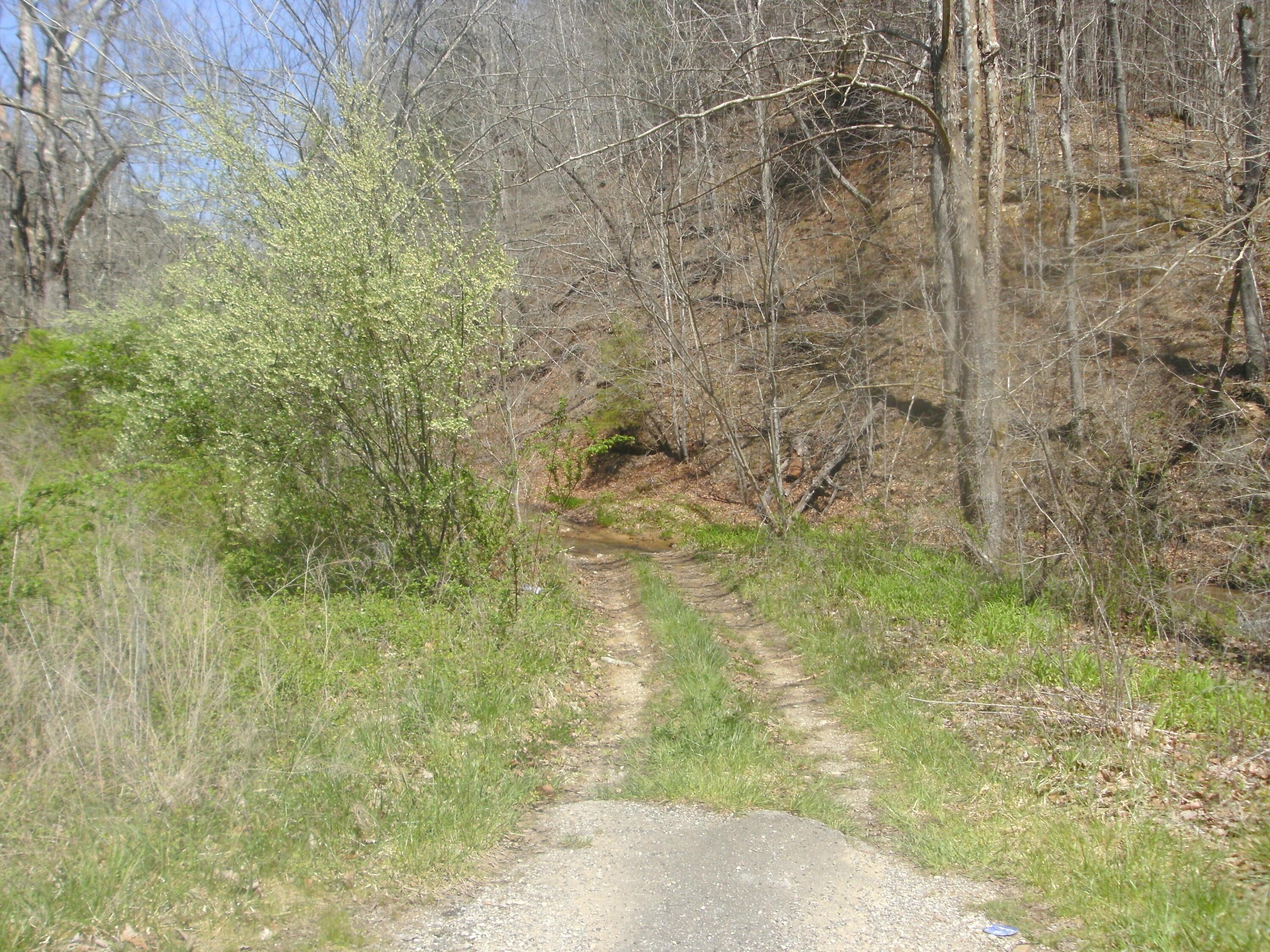 Image 1: SANY0487