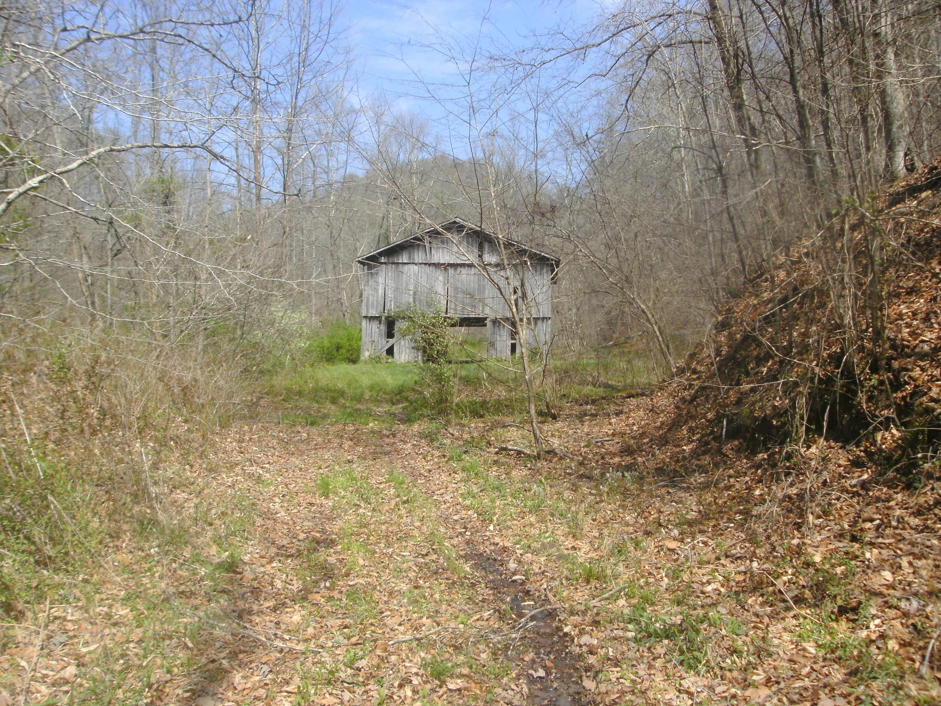 Image 2: SANY0490