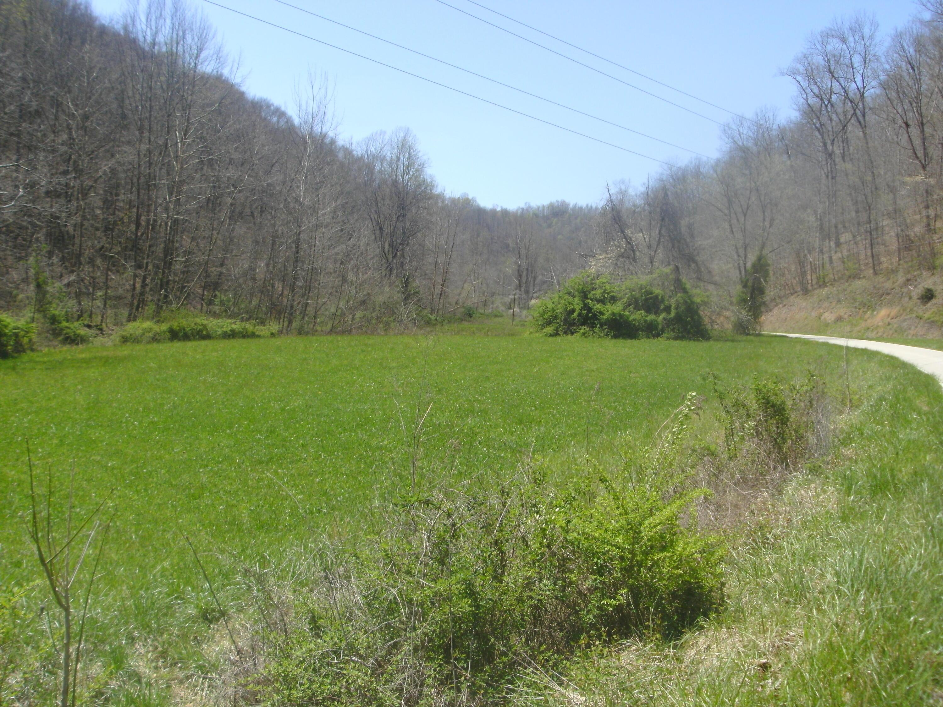 Image 3: SANY0489