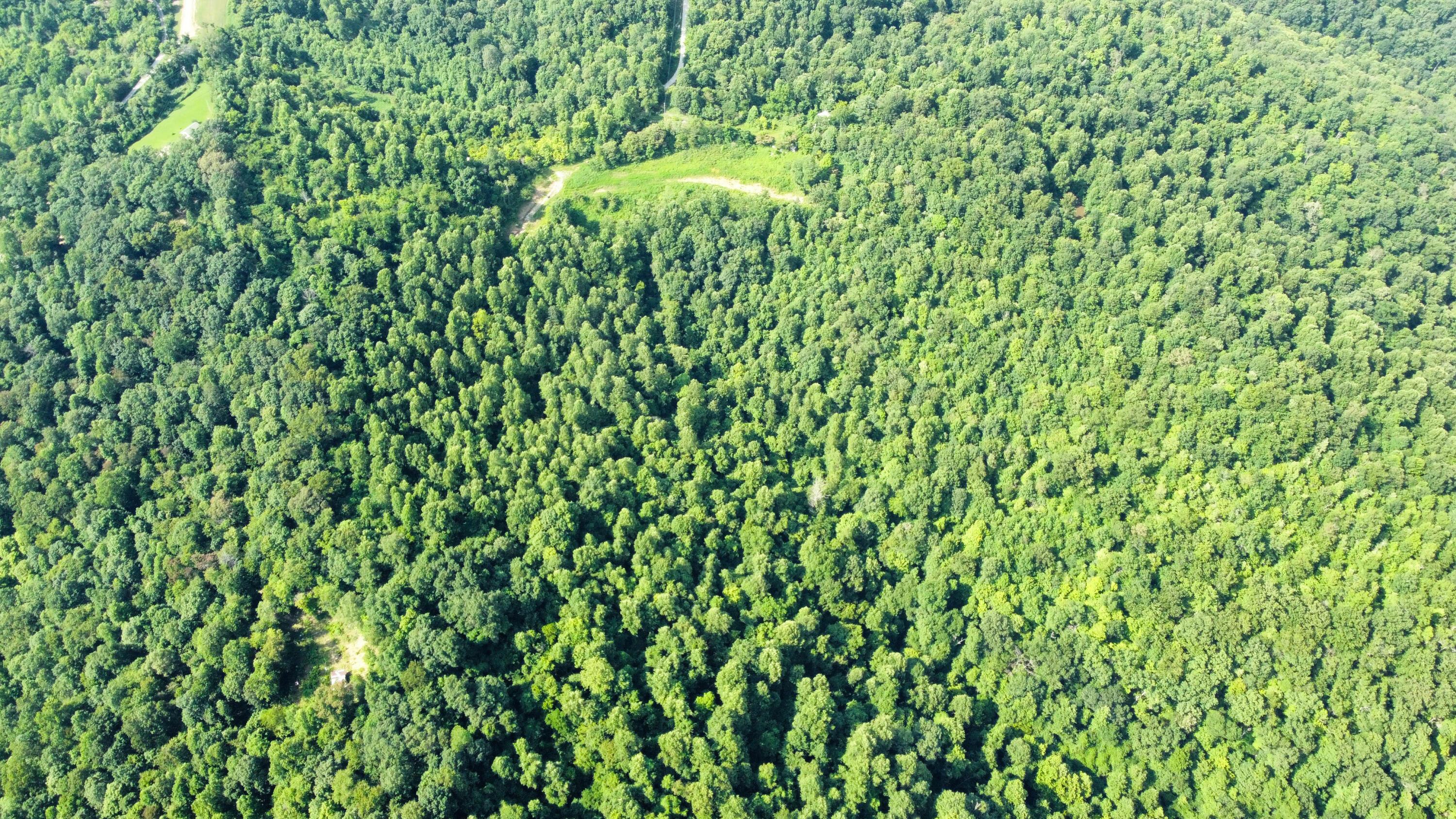 Image 2: dji_fly_20250625_165638_180_175090610262