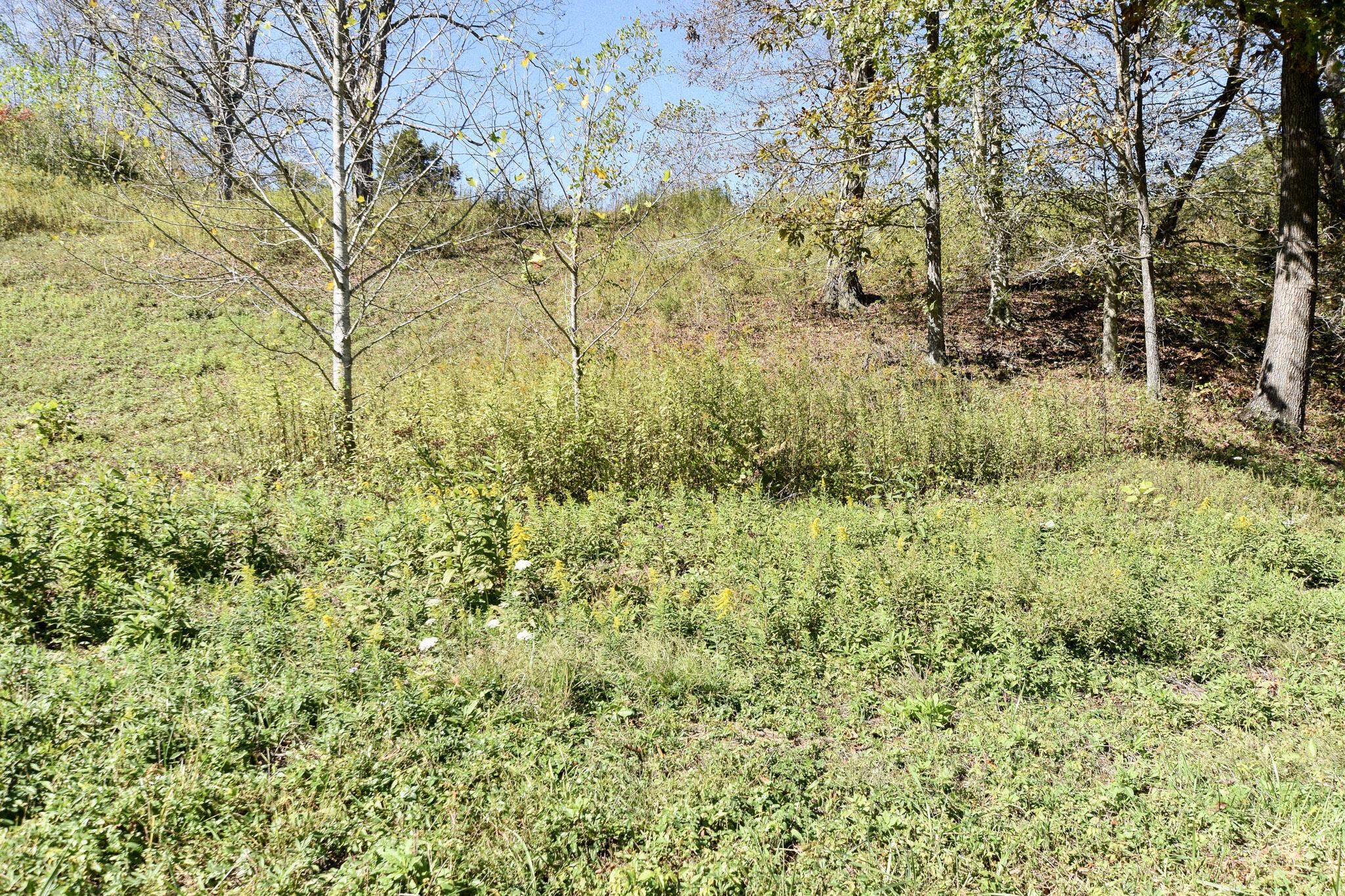 Image 2: 2-DSC_0037