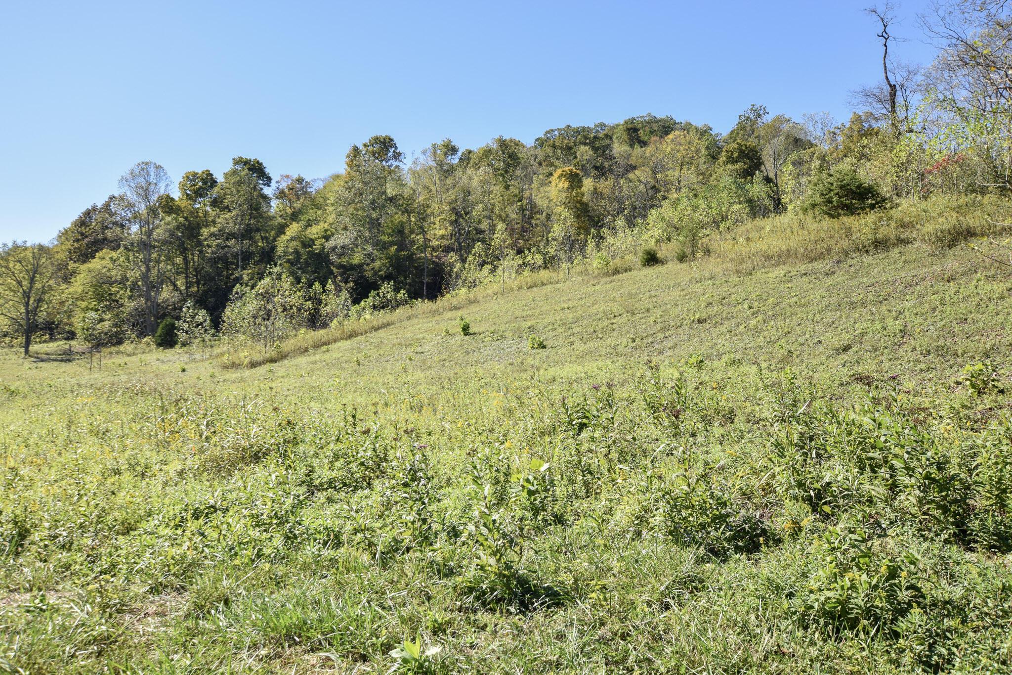 Image 3: 3-DSC_0036