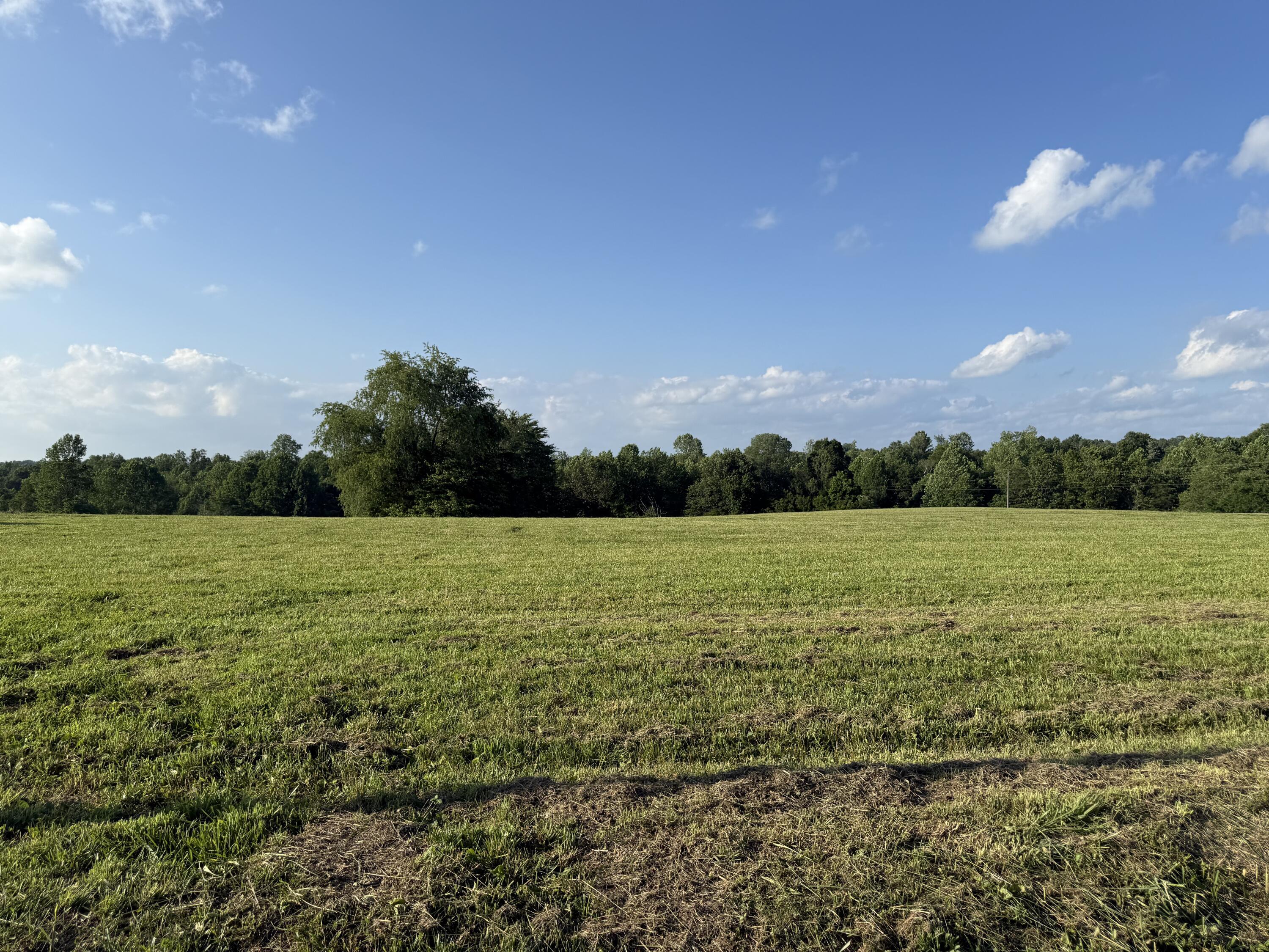 Image 2: IMG_1672