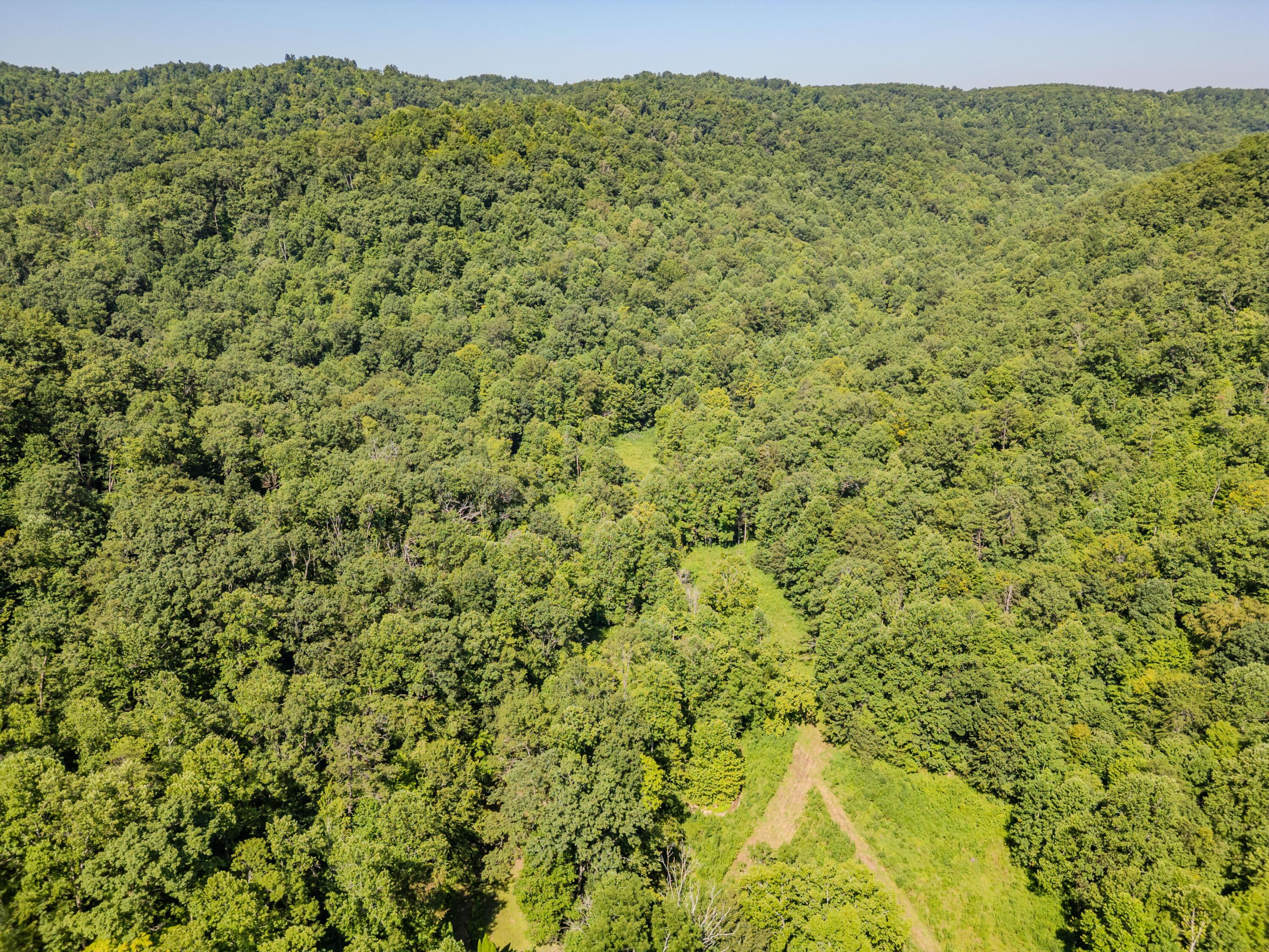 Image 2: 1995LowerCaneCreek-0205