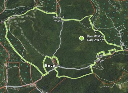 9999 Cow Fork Road
