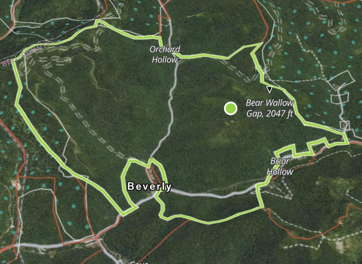 Image 1: Cow Fork Road