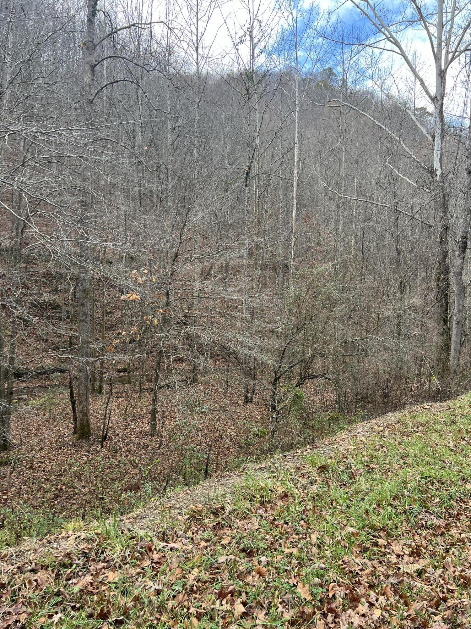 Image 2: IMG_8311