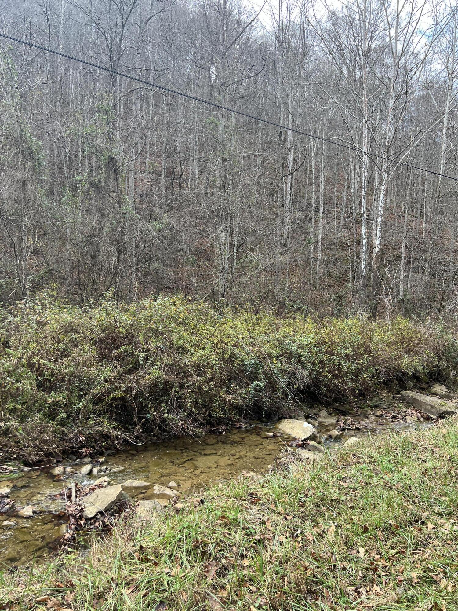 Image 4: IMG_8324