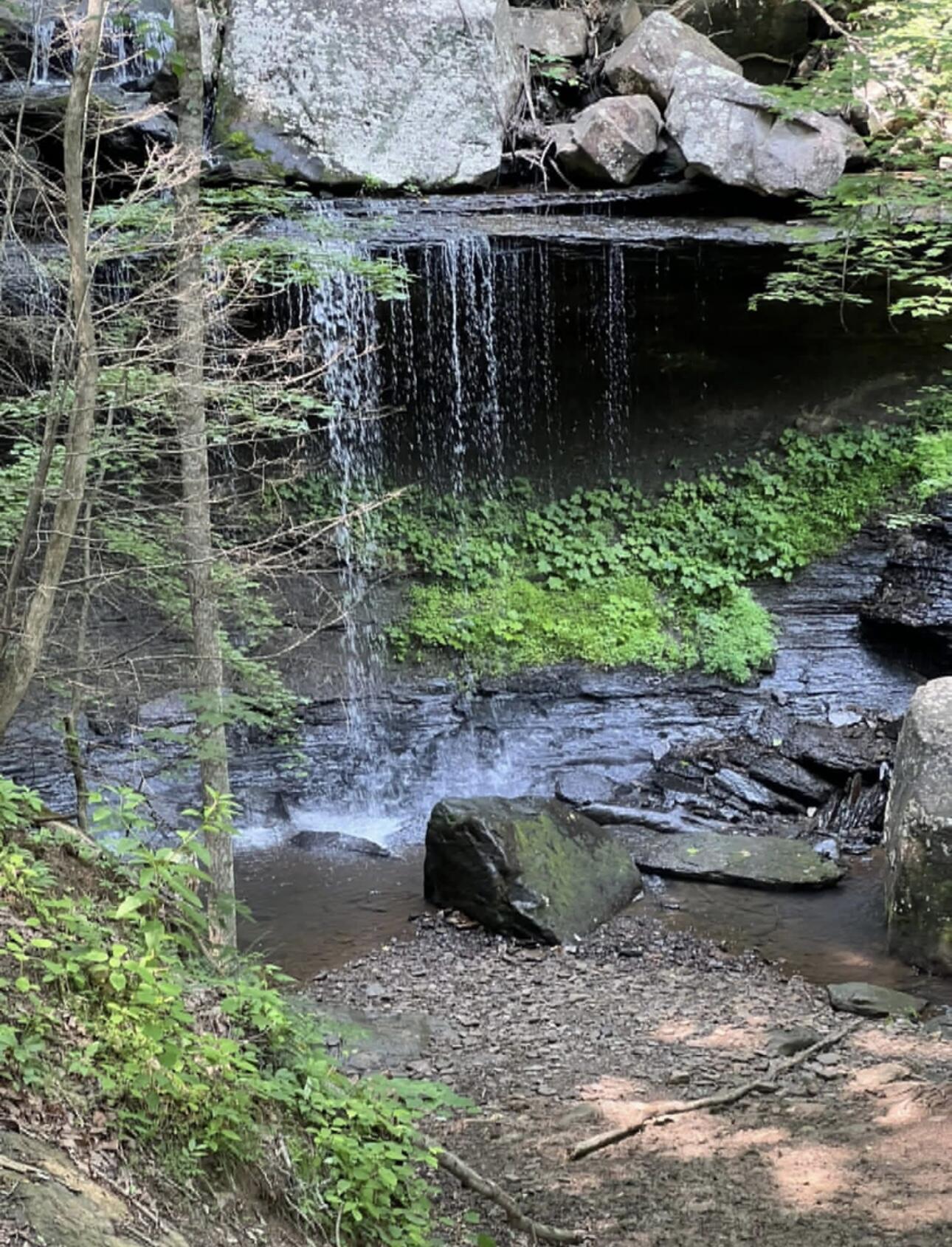Image 4: IMG_0553
