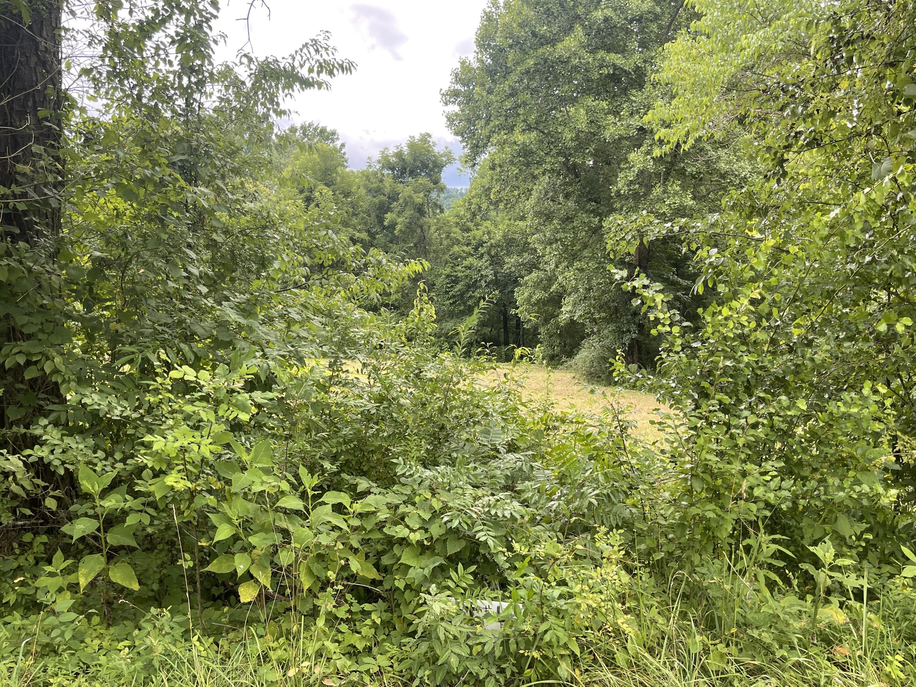 Image 3: IMG_6033