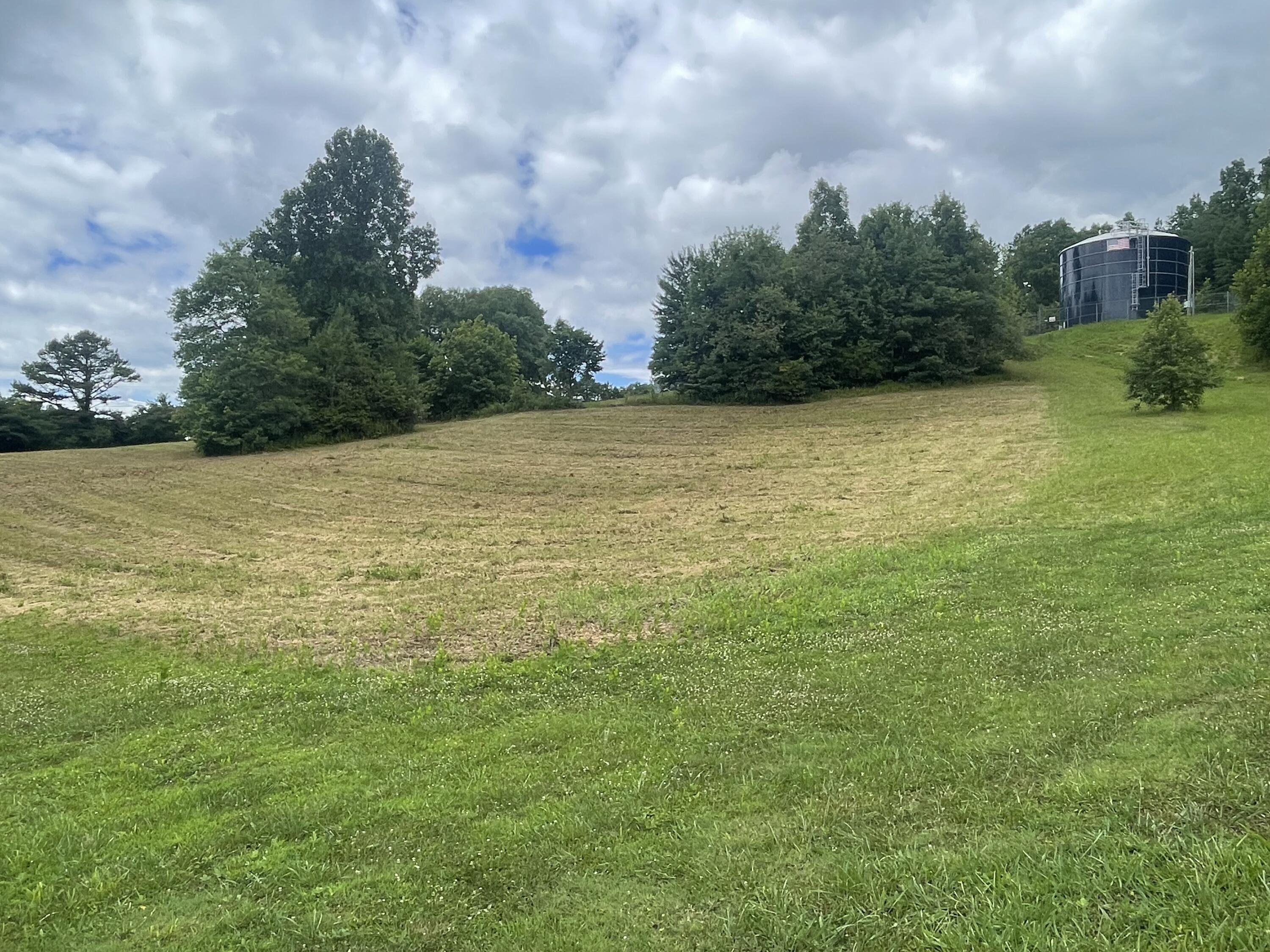 Image 3: IMG_6050