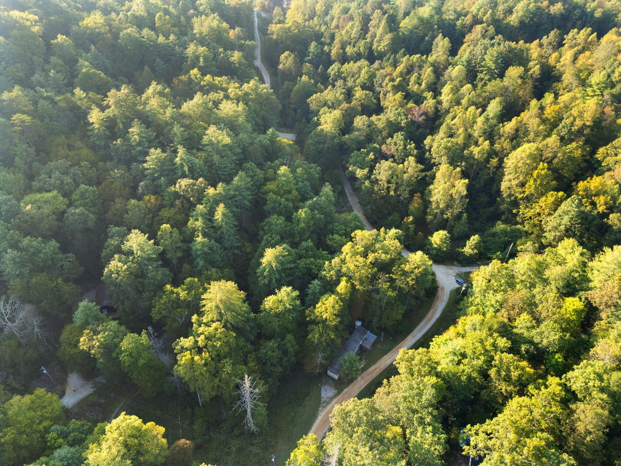 Image 2: 18-web-or-mls-25 Indian Vly-18