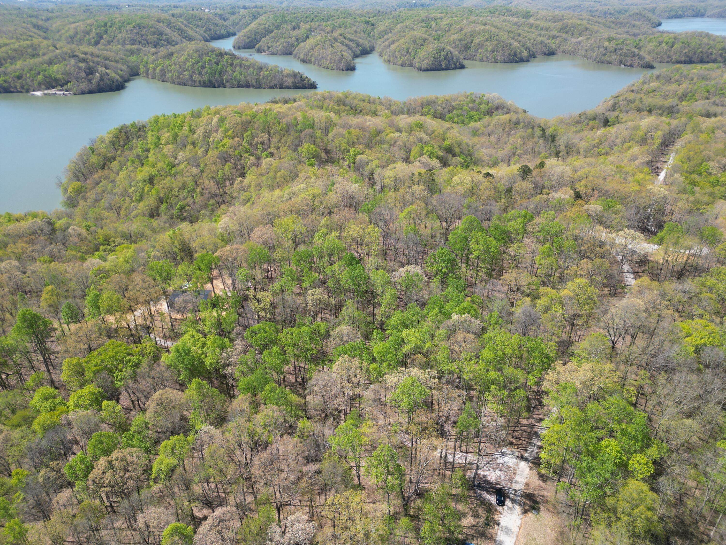 Image 3: dji_fly_20250414_052608_224_174482027603