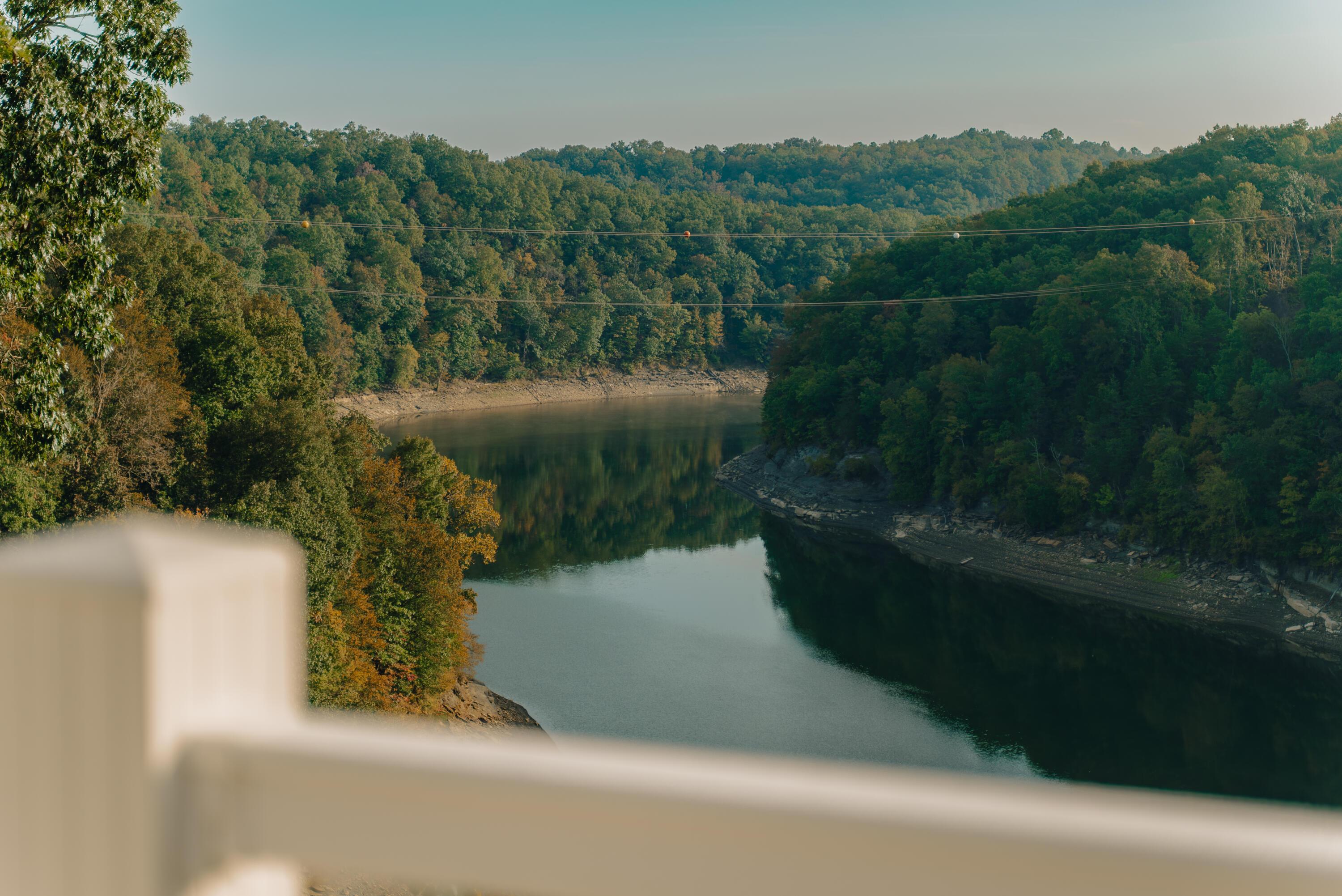 Image 3: 905 Lily Creek-14