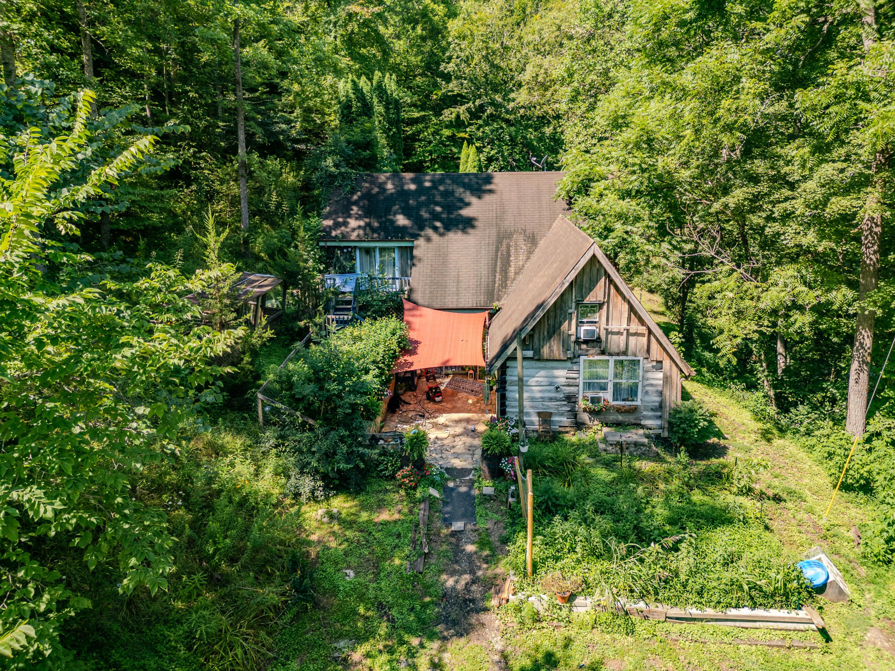 Image 1: 1995LowerCaneCreek-0218