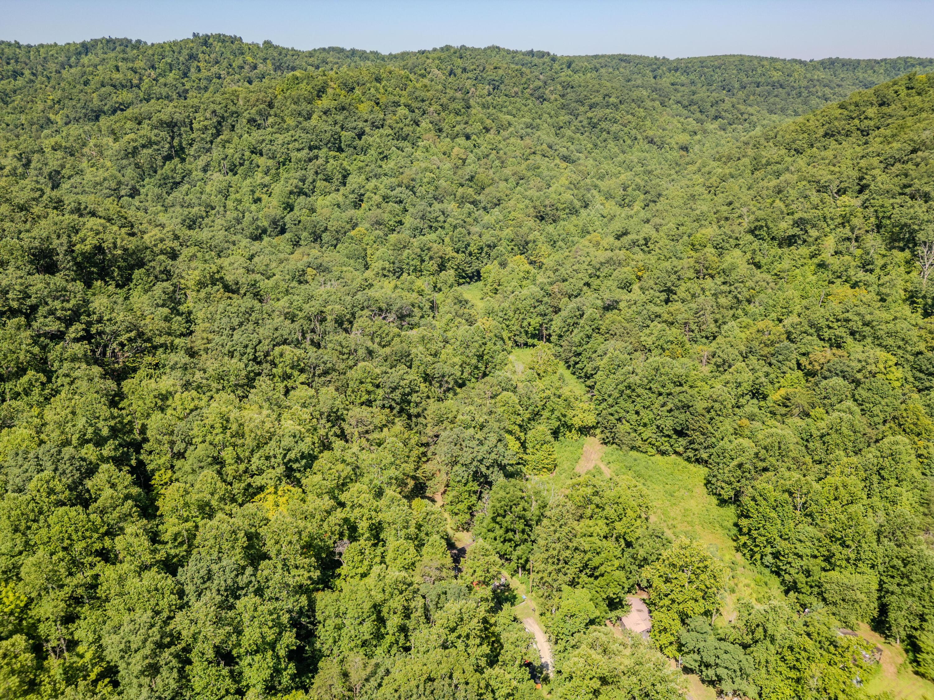 Image 2: 1995LowerCaneCreek-0237