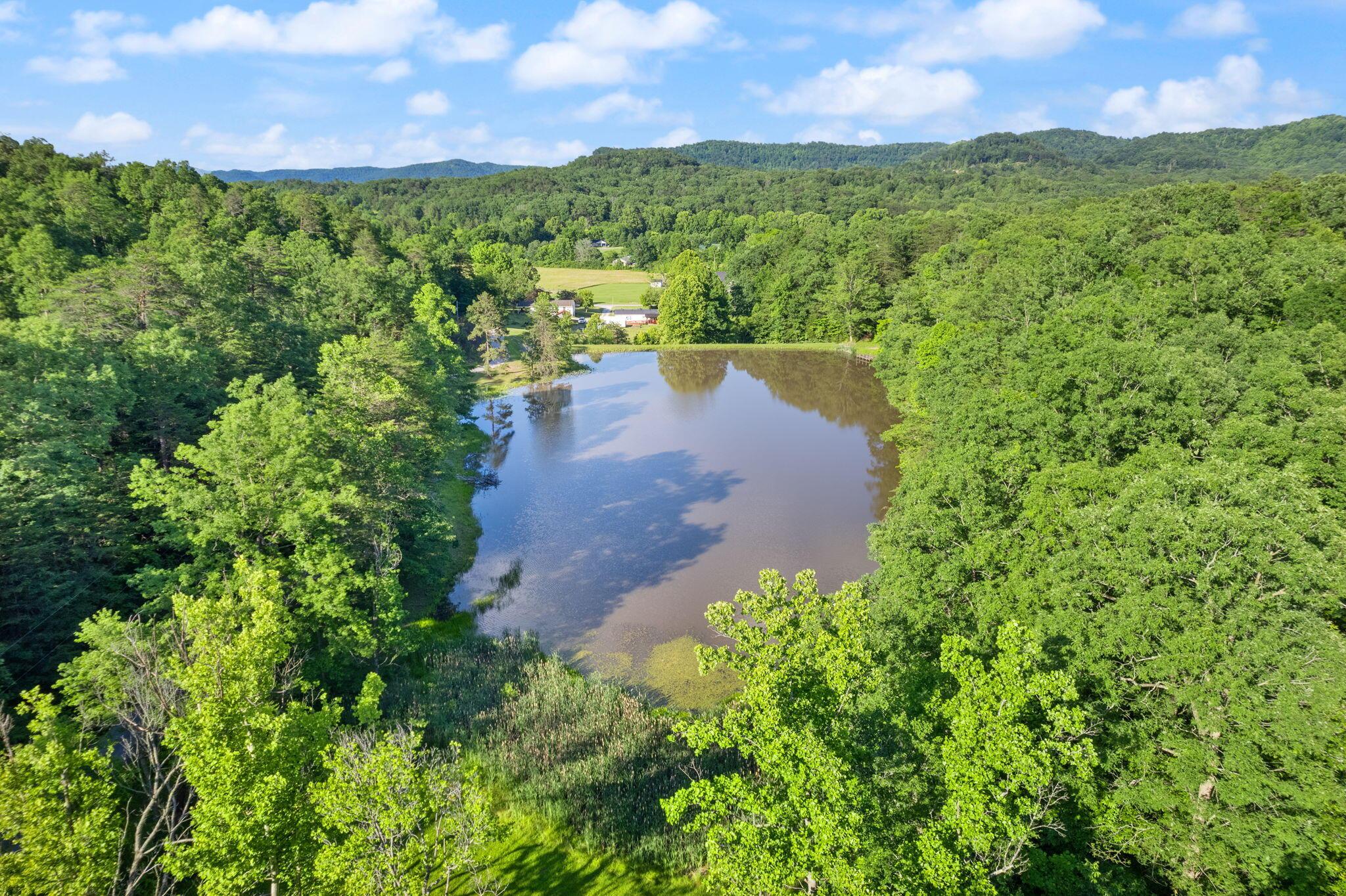 Image 3: 45-web-or-mls-DJI_0390