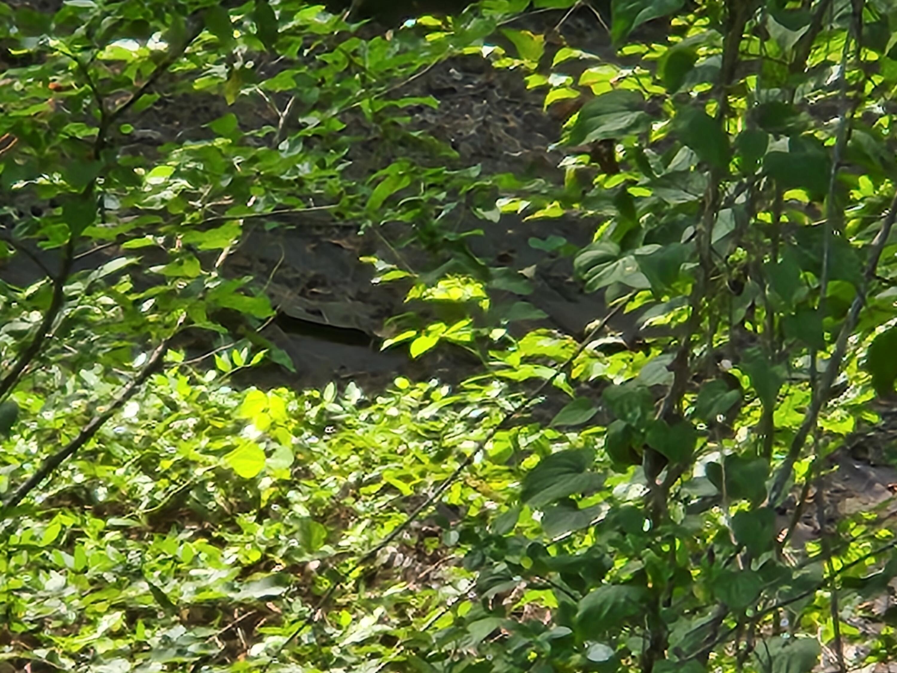 Image 3: 20240806_151014