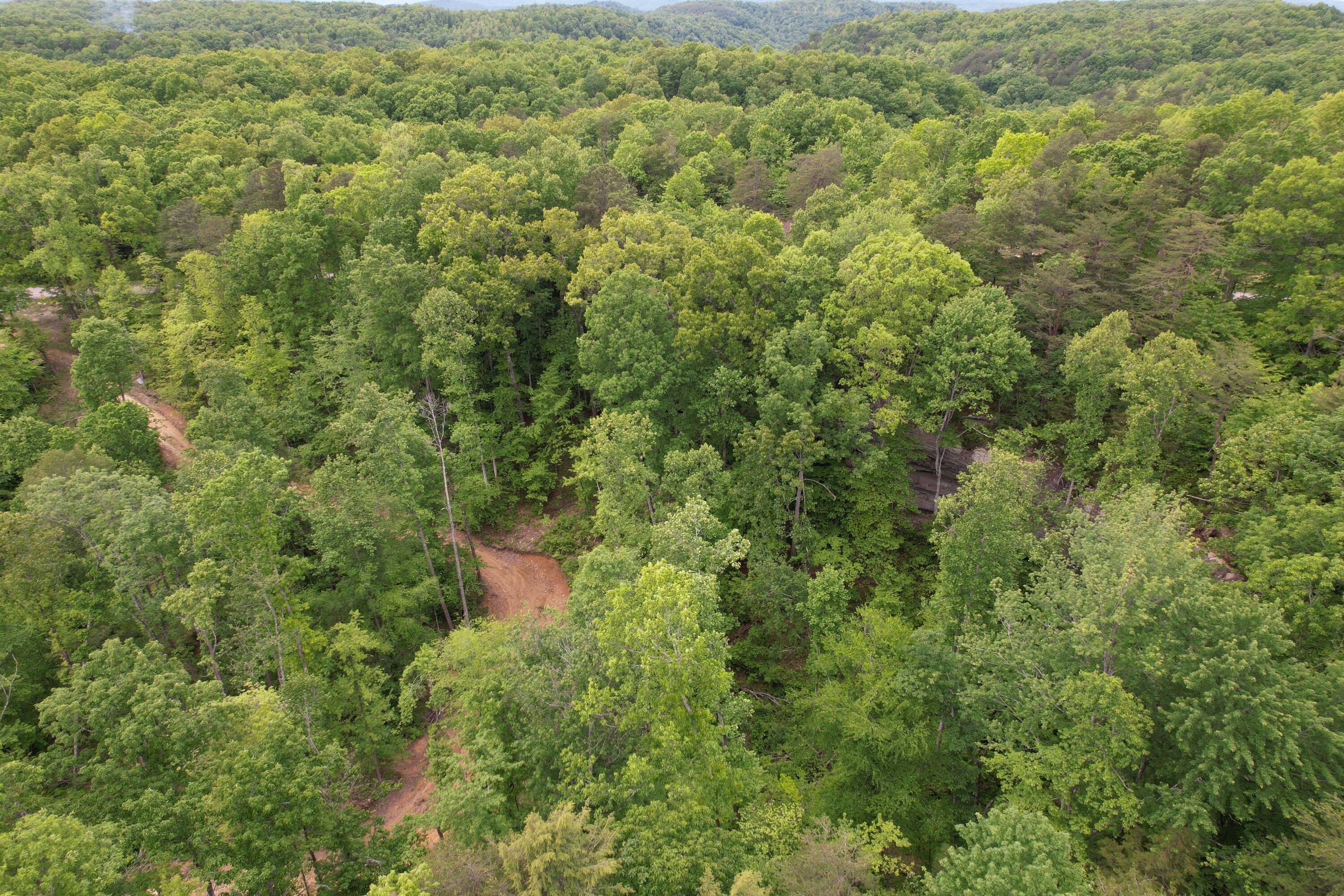 Image 4: DJI_0505