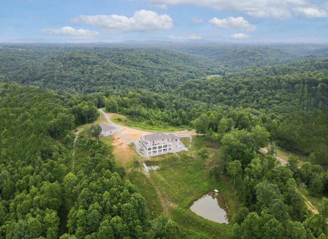 Image 2: image 2