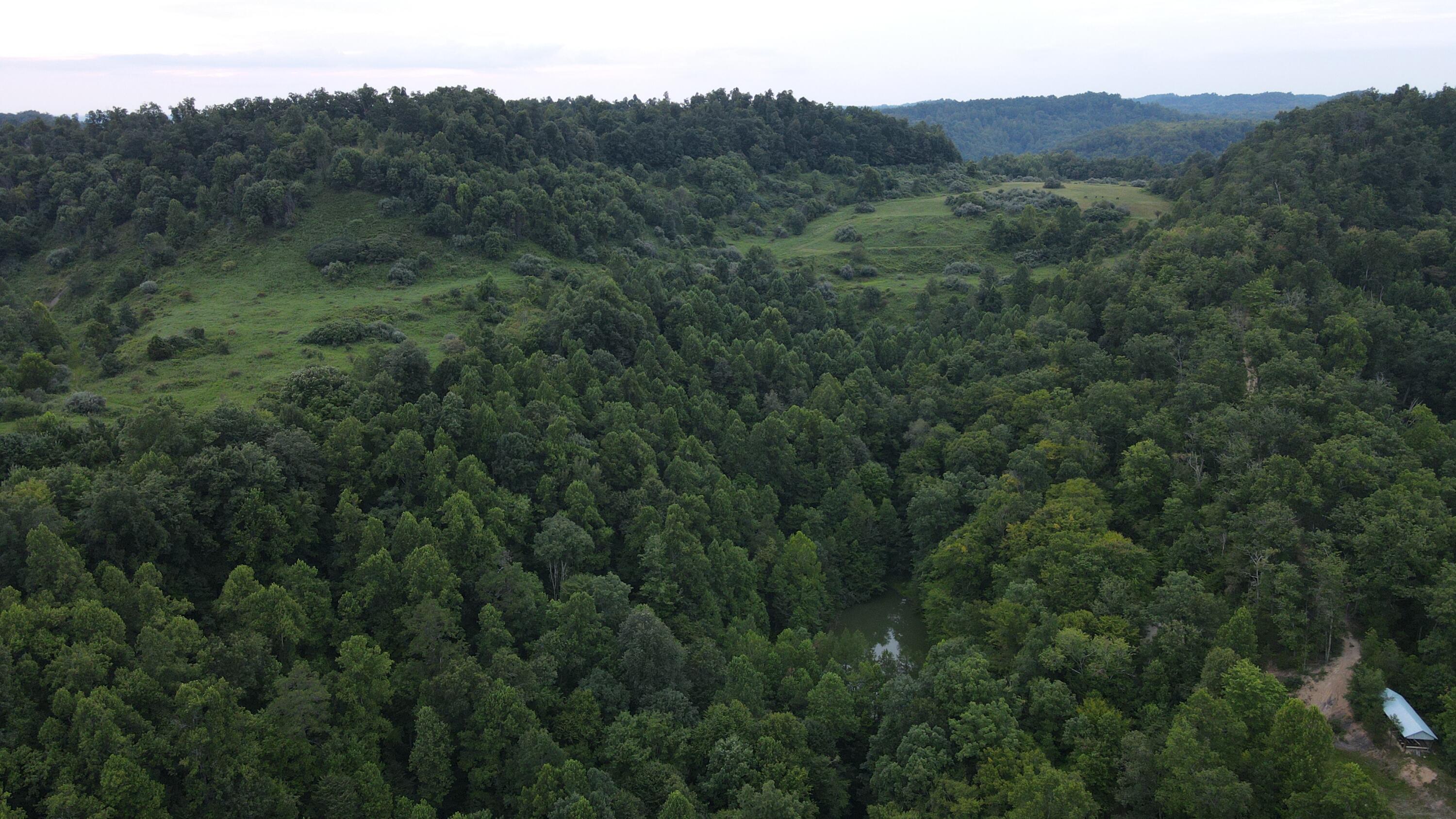 Image 1: DJI_0453