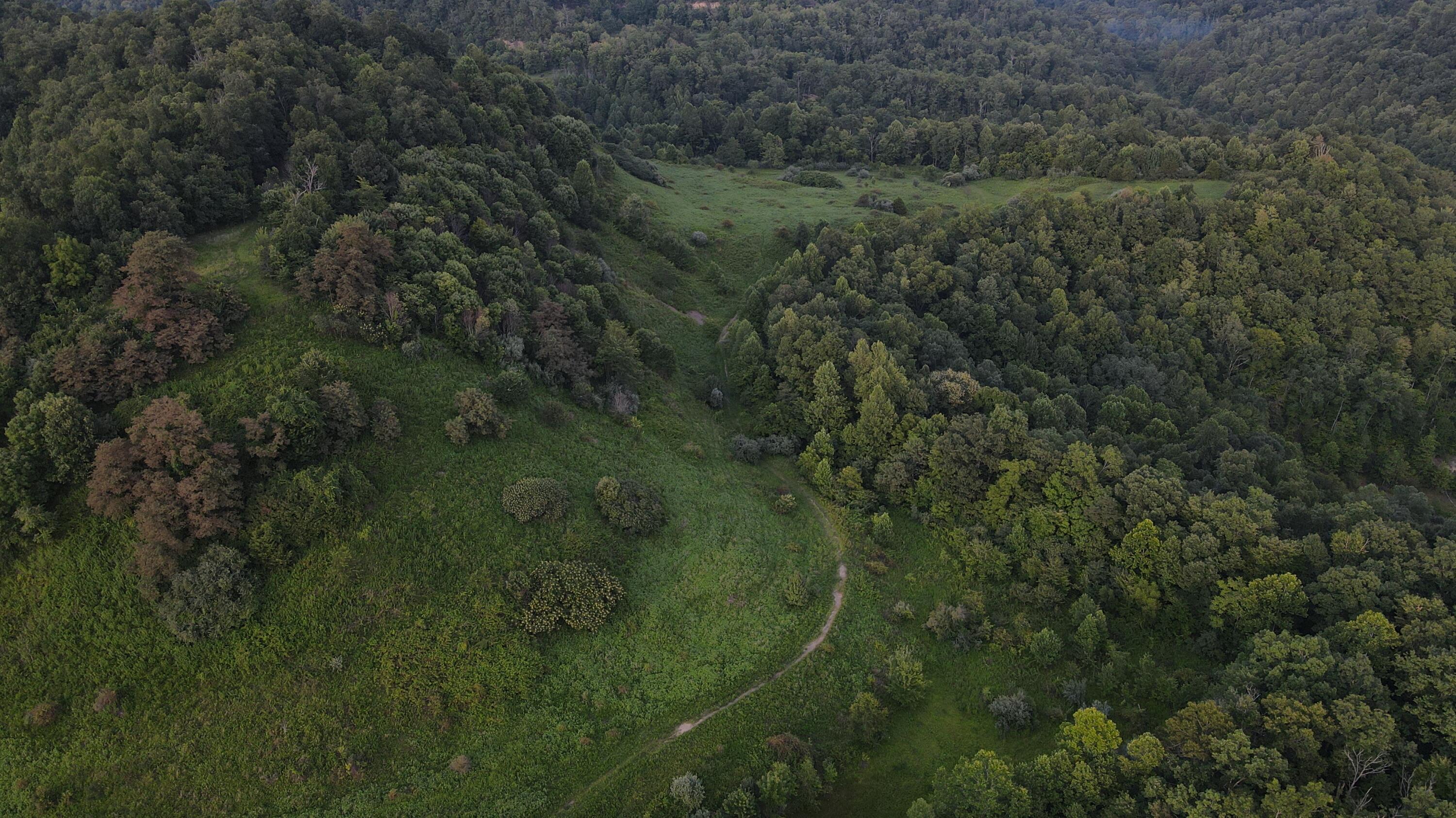 Image 3: dji_fly_20260724_194540_422_178493674924