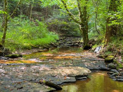2045 Teges Creek Road