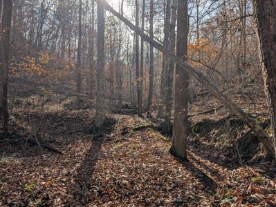 0 Hatton Creek Road