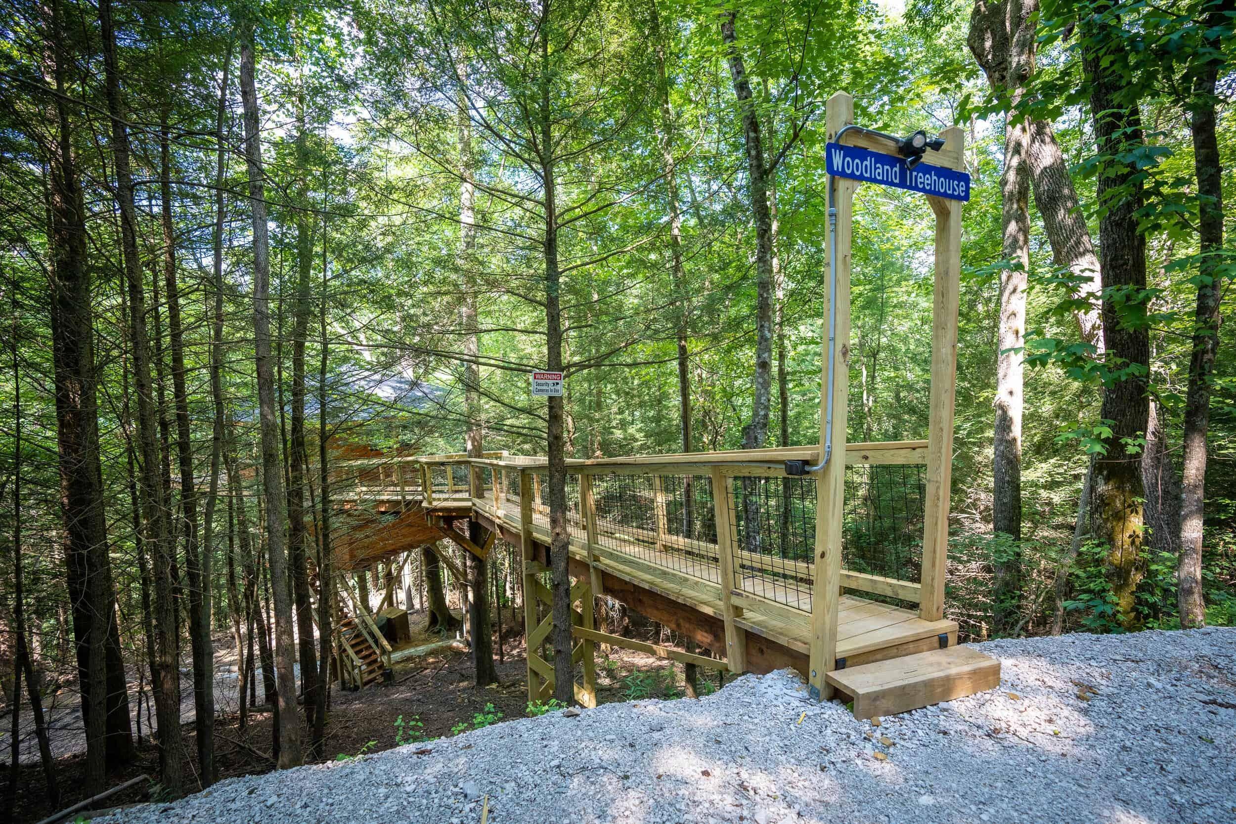 Image 3: Lot 4 Treehouse 3