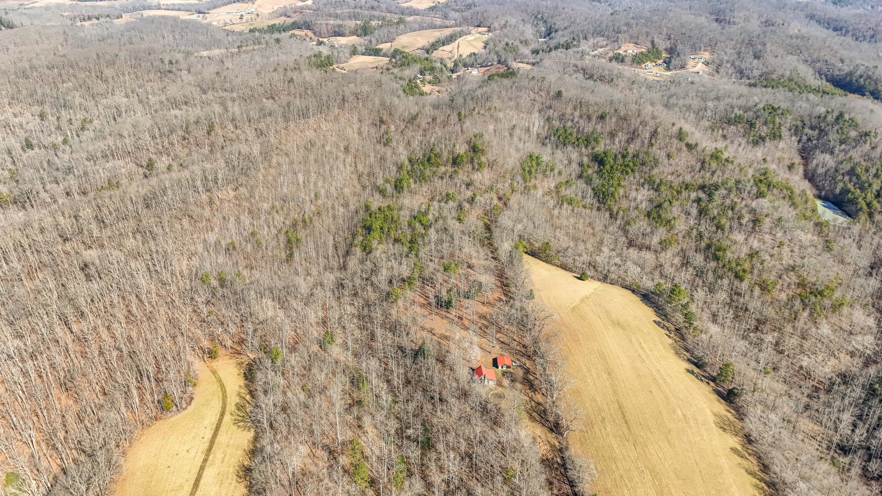 Image 3: LightroomRealEstateEdits-4